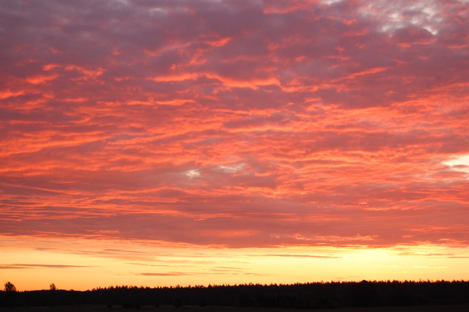 Nikon D40 sample photo. Nature, sunset, dawn photography