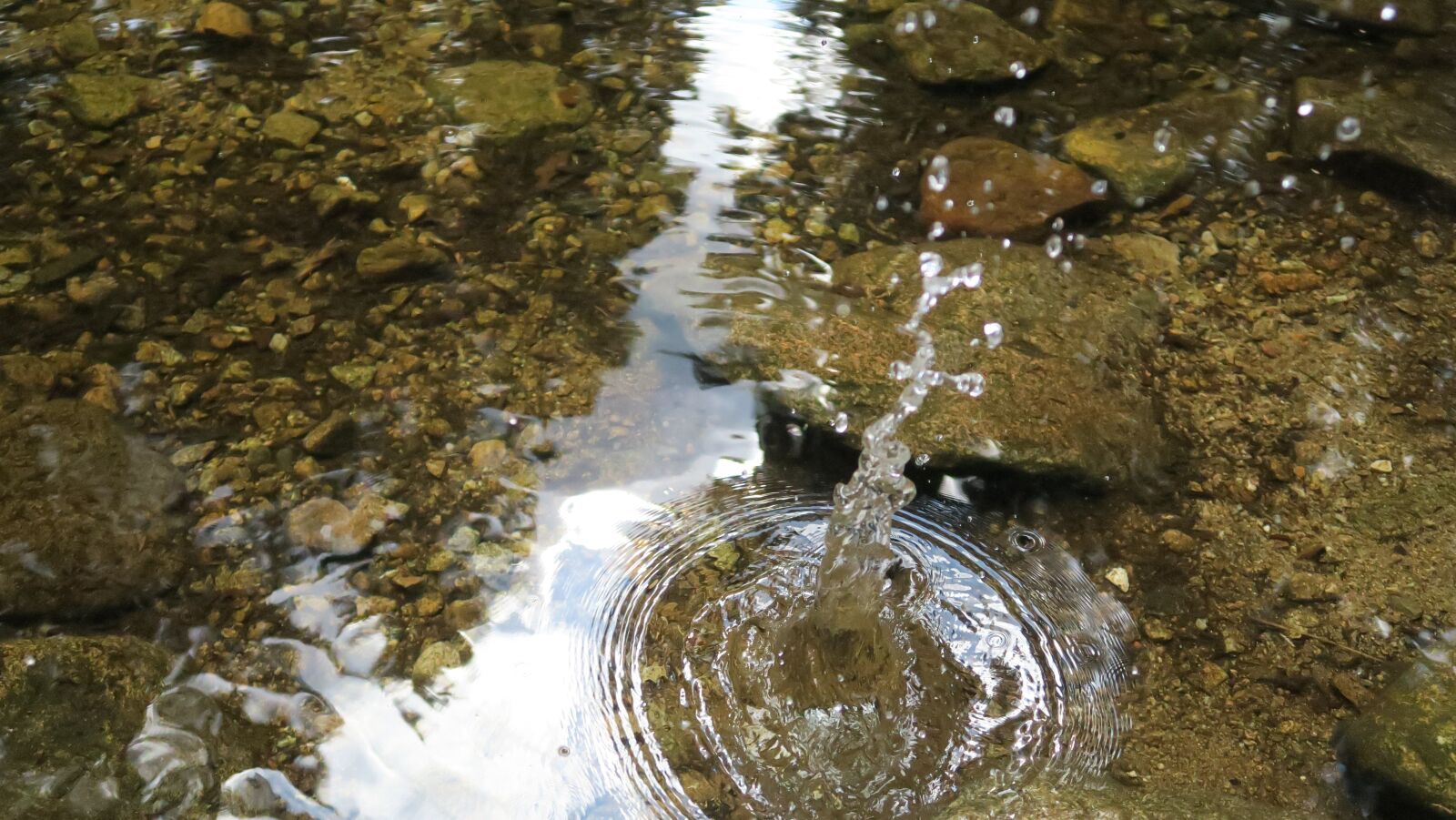Canon PowerShot G5 X sample photo. Drops, stream, krkonose photography