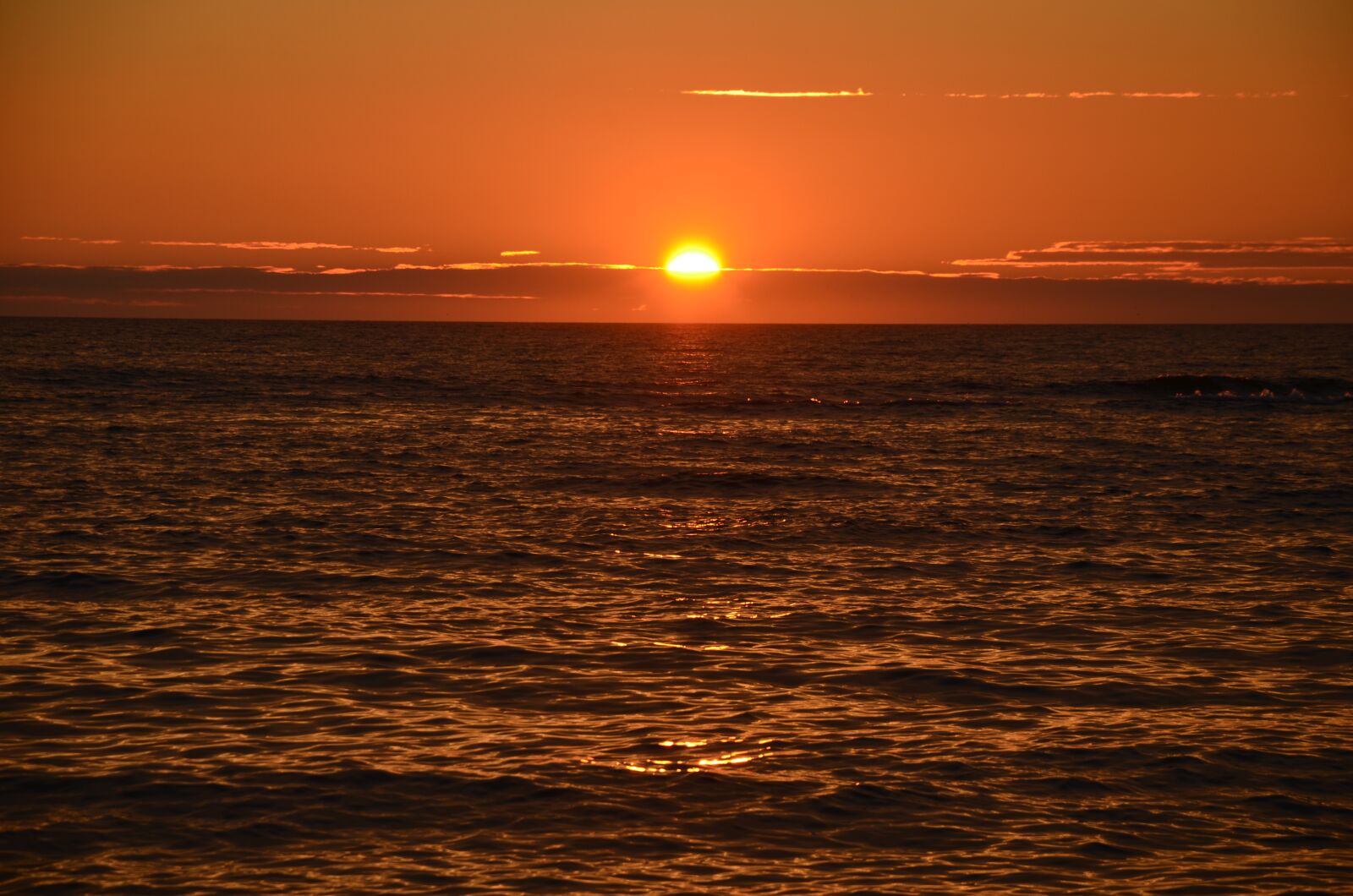 Nikon D5100 sample photo. Denmark, north sea, sunset photography