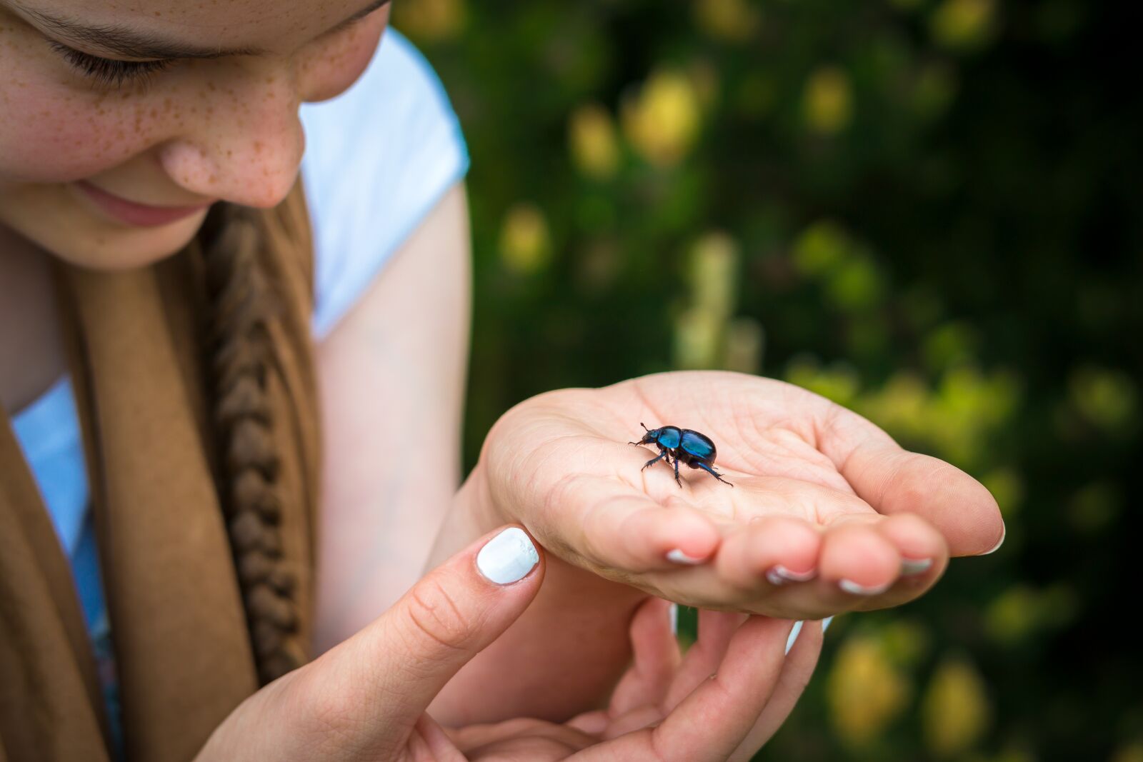 Samsung NX300M sample photo. Beetle, dung beetle, hand photography