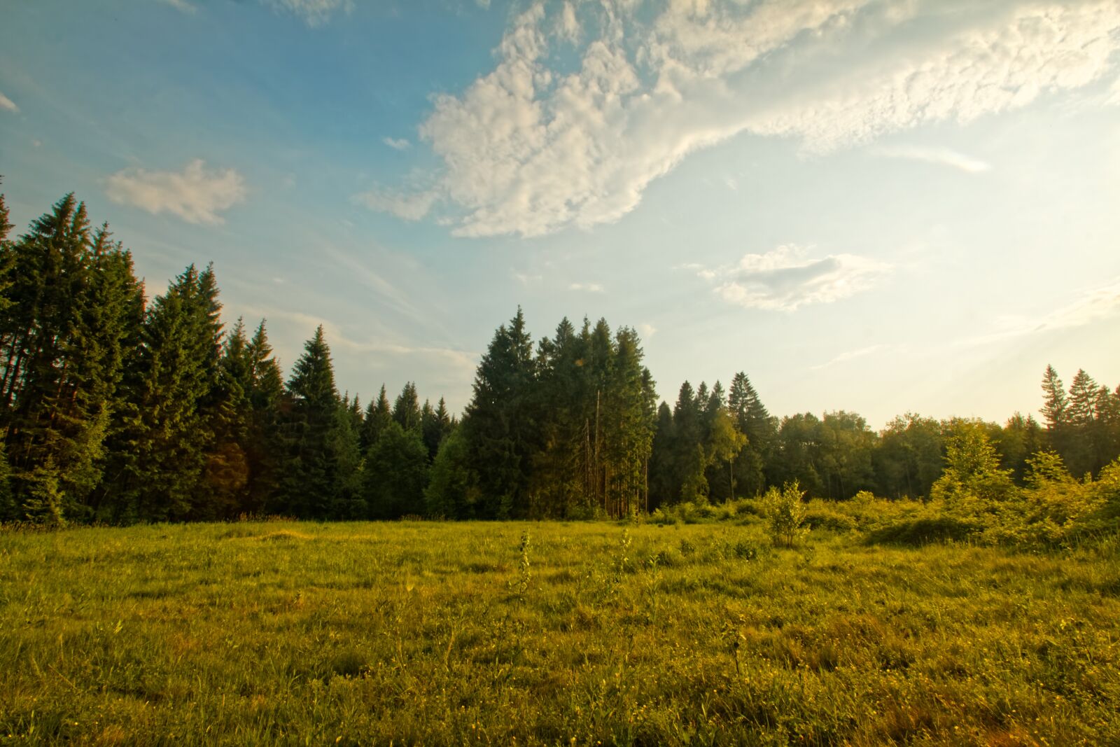 Canon EOS 500D (EOS Rebel T1i / EOS Kiss X3) sample photo. Field, summer, road photography