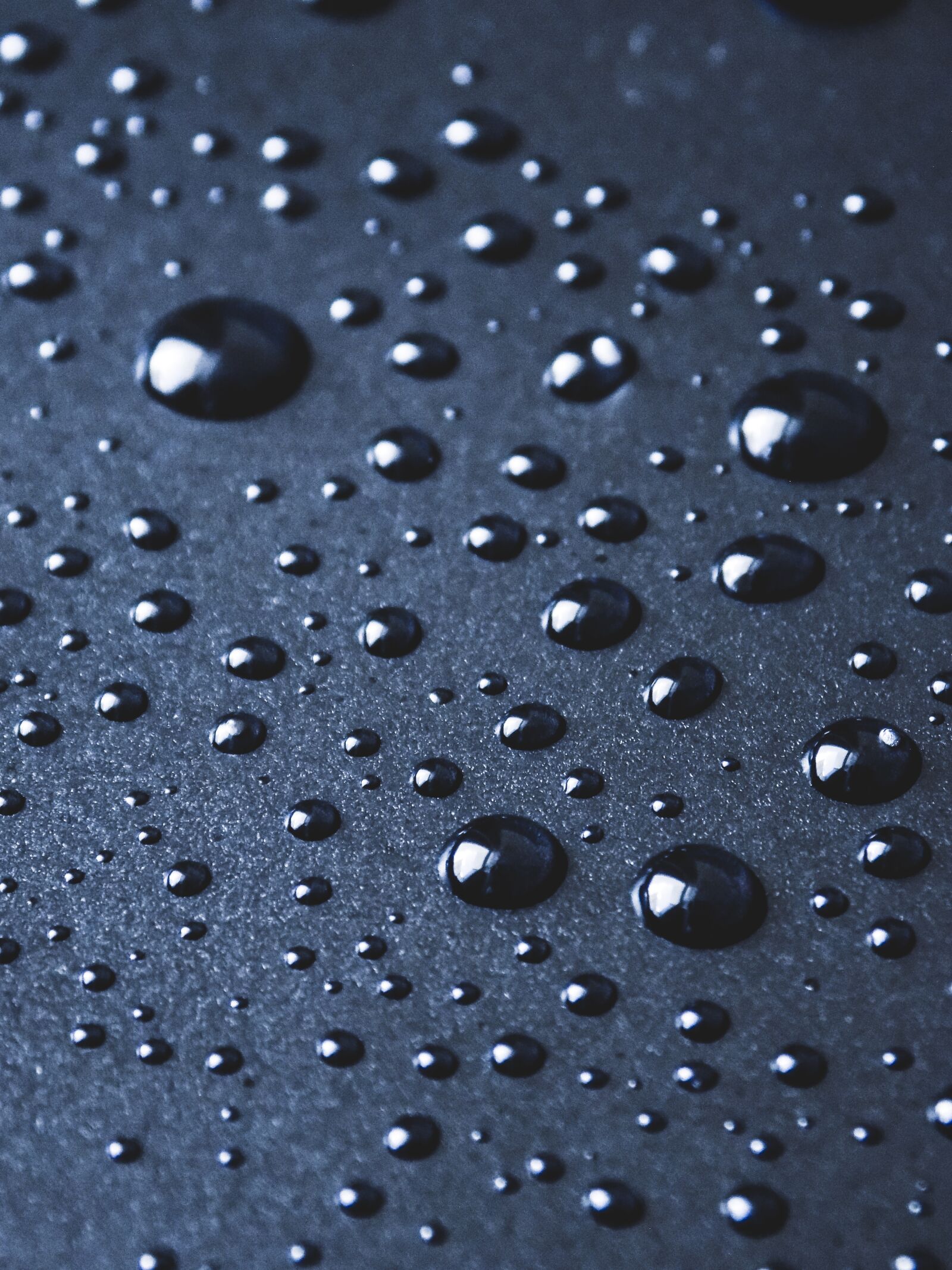 Nikon COOLPIX L330 sample photo. Drops, water, macro photography
