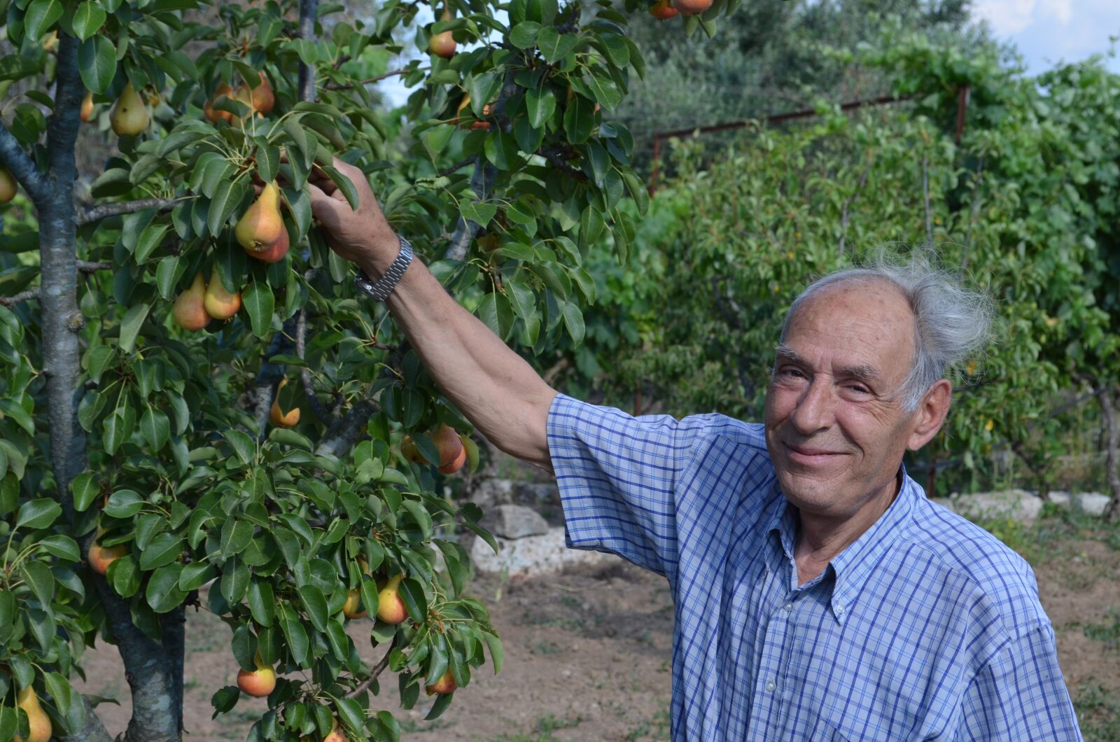 Nikon D5100 sample photo. Farmer, salento, collection photography