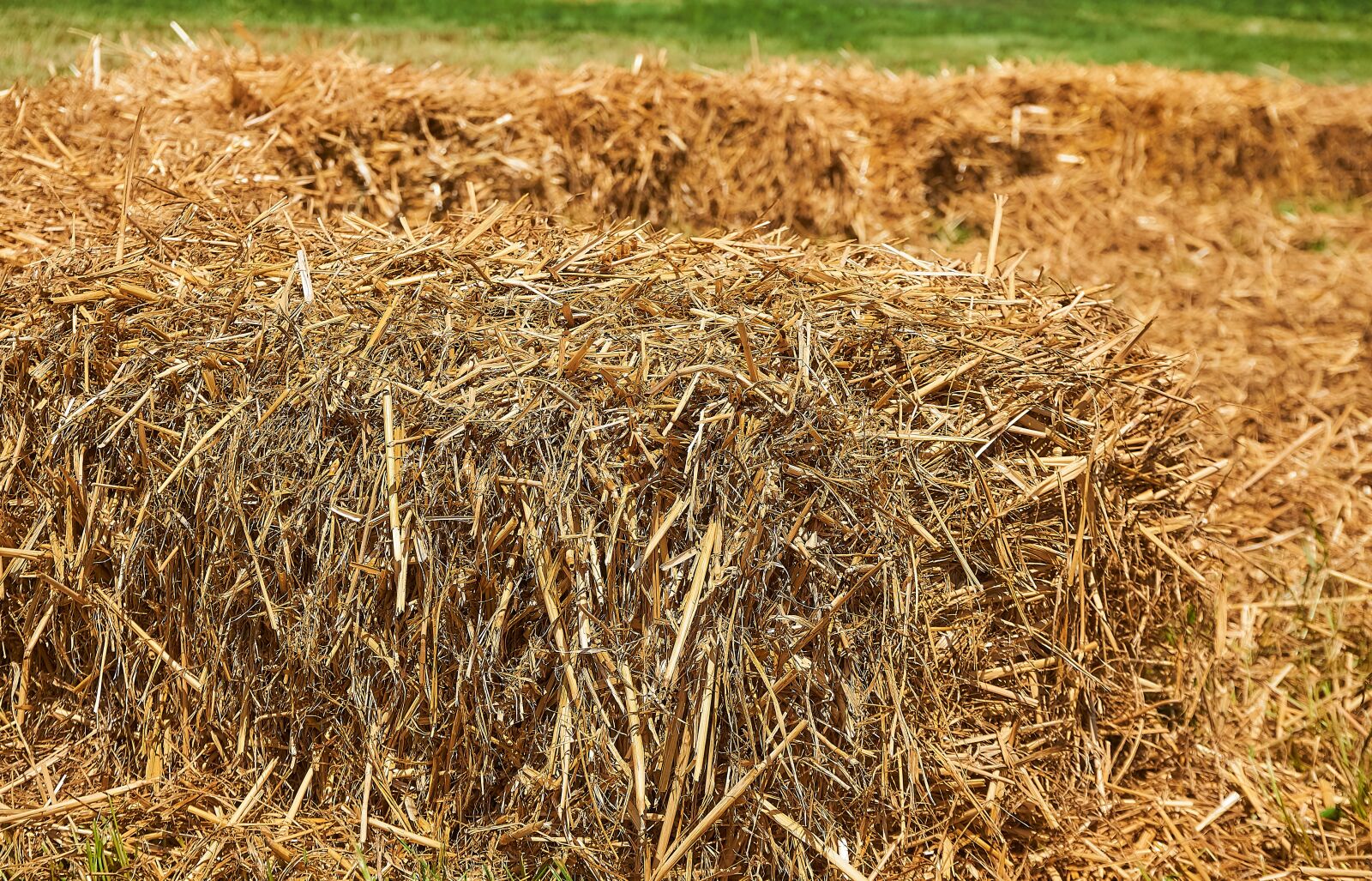 Sony a6000 sample photo. Straw, straw bales, pile photography