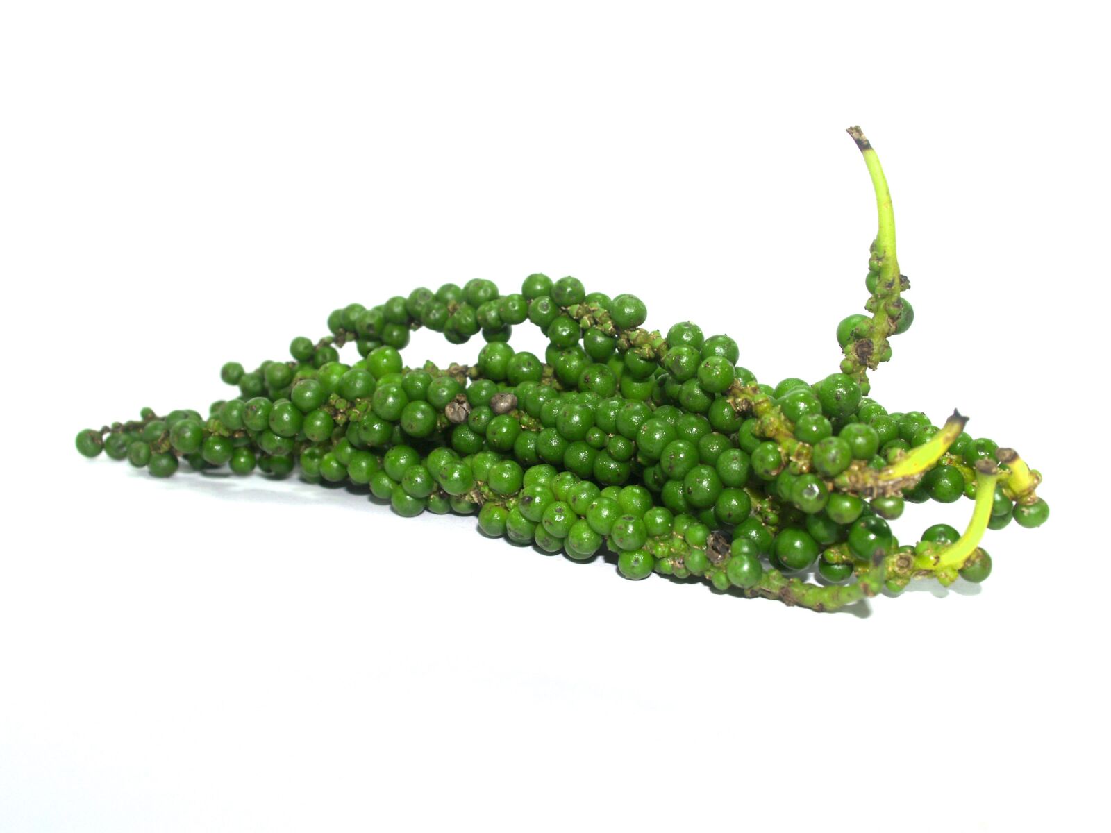 Olympus E-300 (EVOLT E-300) sample photo. Antioxidant, aromatic, bell pepper photography