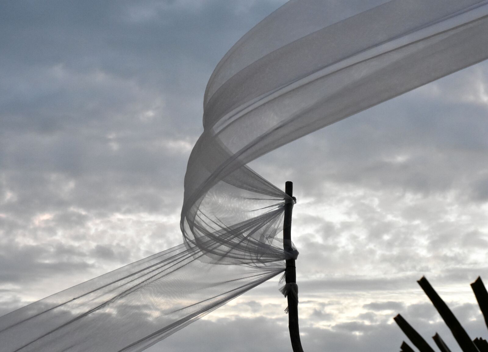 Nikon D7200 sample photo. Wind, clouds, summer photography