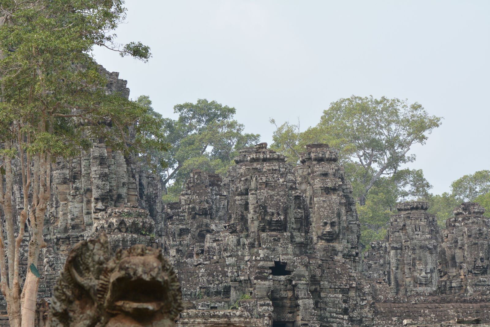 Nikon D7100 sample photo