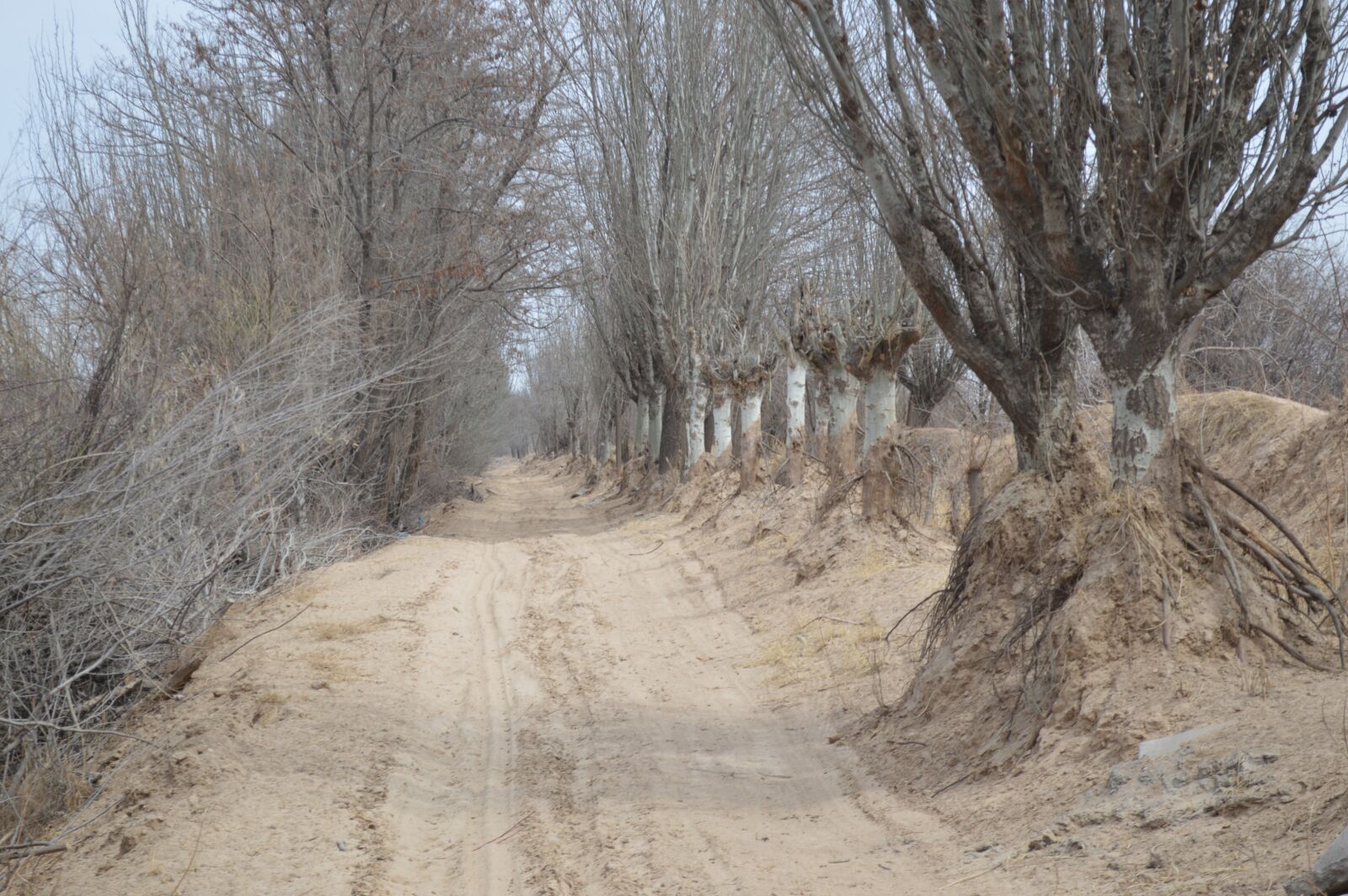 Nikon D3200 sample photo. Views, landscape, winter photography