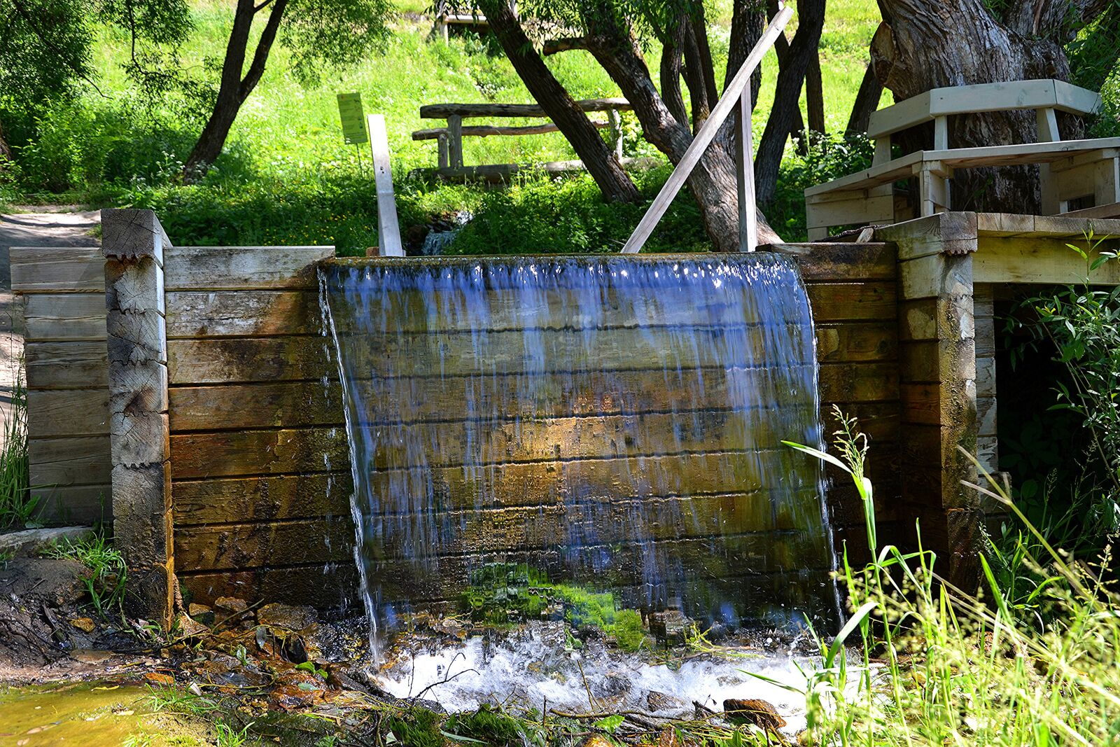 Nikon D3100 sample photo. природа, лето, вода photography