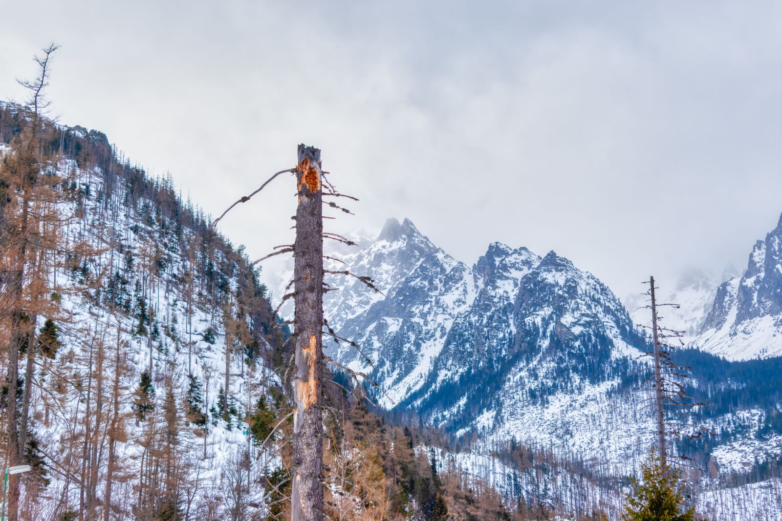 Nikon D5600 sample photo. Lomnicky stit, lomnicky peak photography