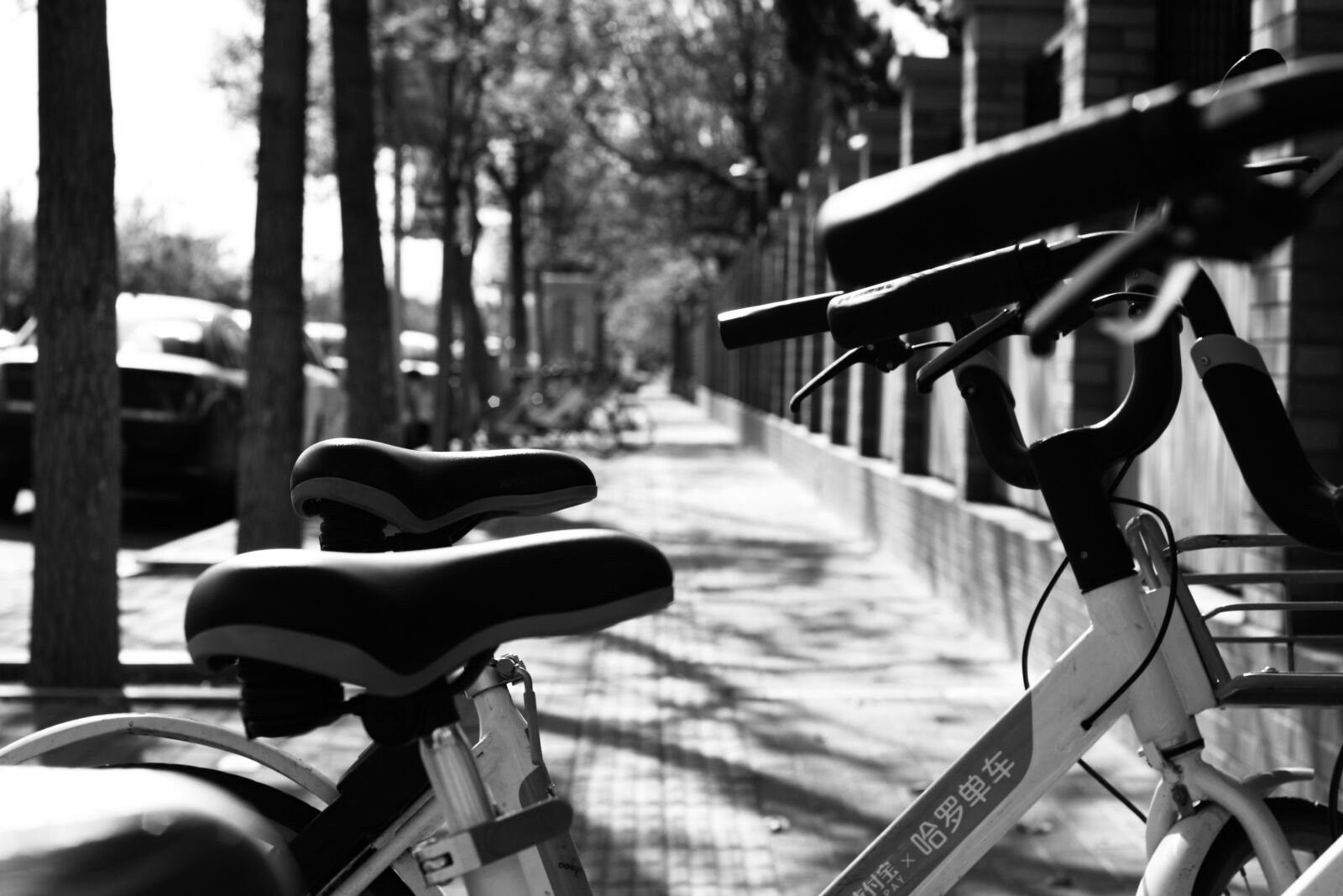 Canon EOS 1000D (EOS Digital Rebel XS / EOS Kiss F) sample photo. China, bike, street photography