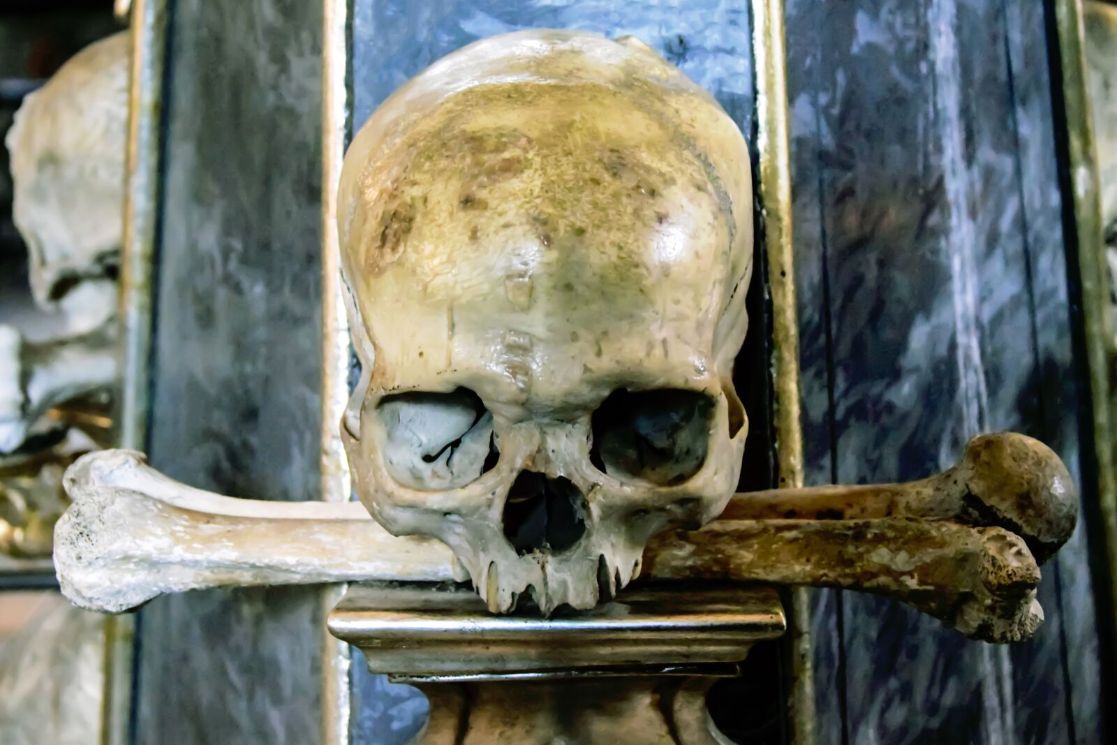Nikon D5300 sample photo. Human skull, skull, death photography