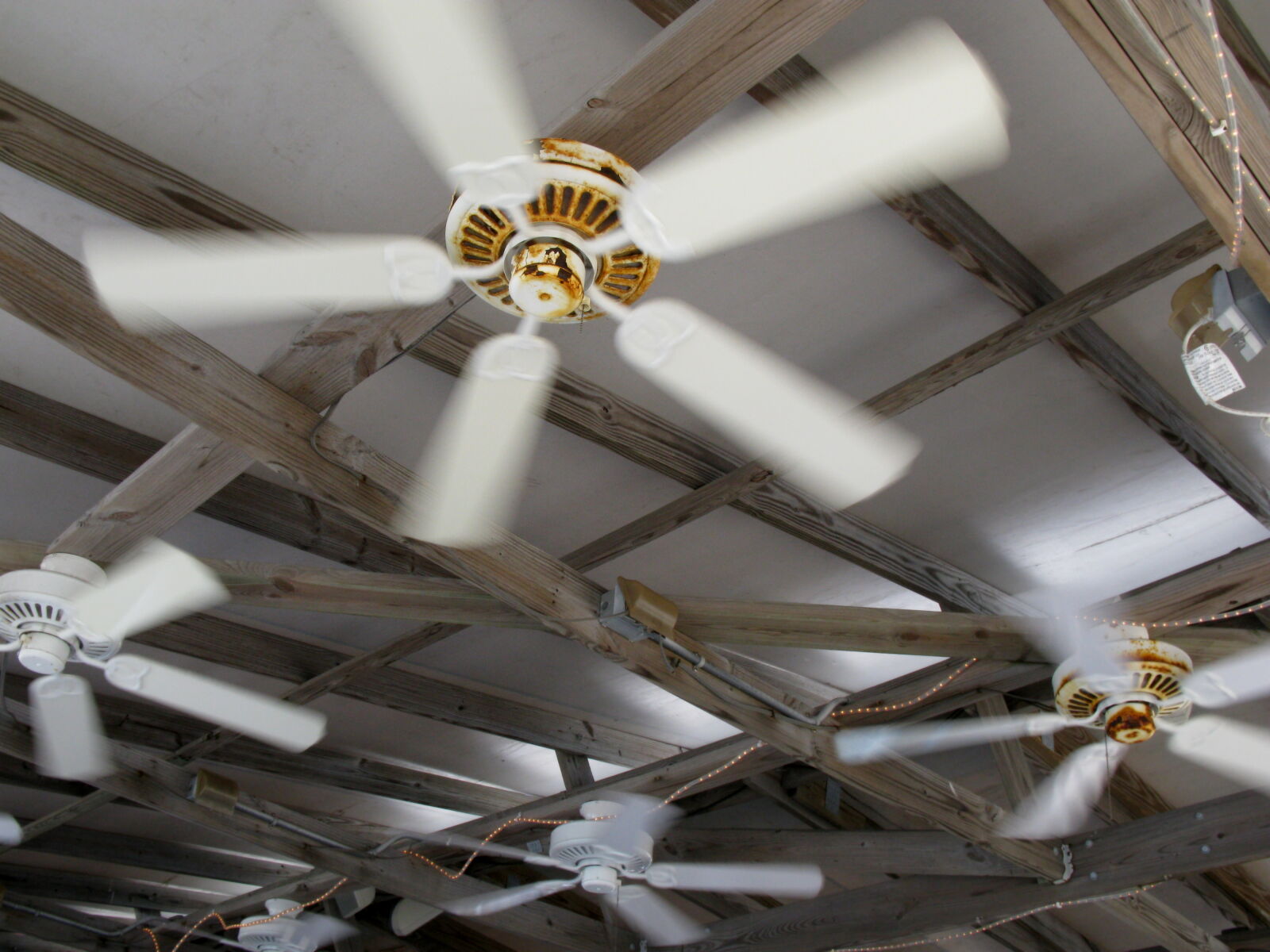 Canon POWERSHOT A650 IS sample photo. Ceiling, fans, fans, outdoor photography
