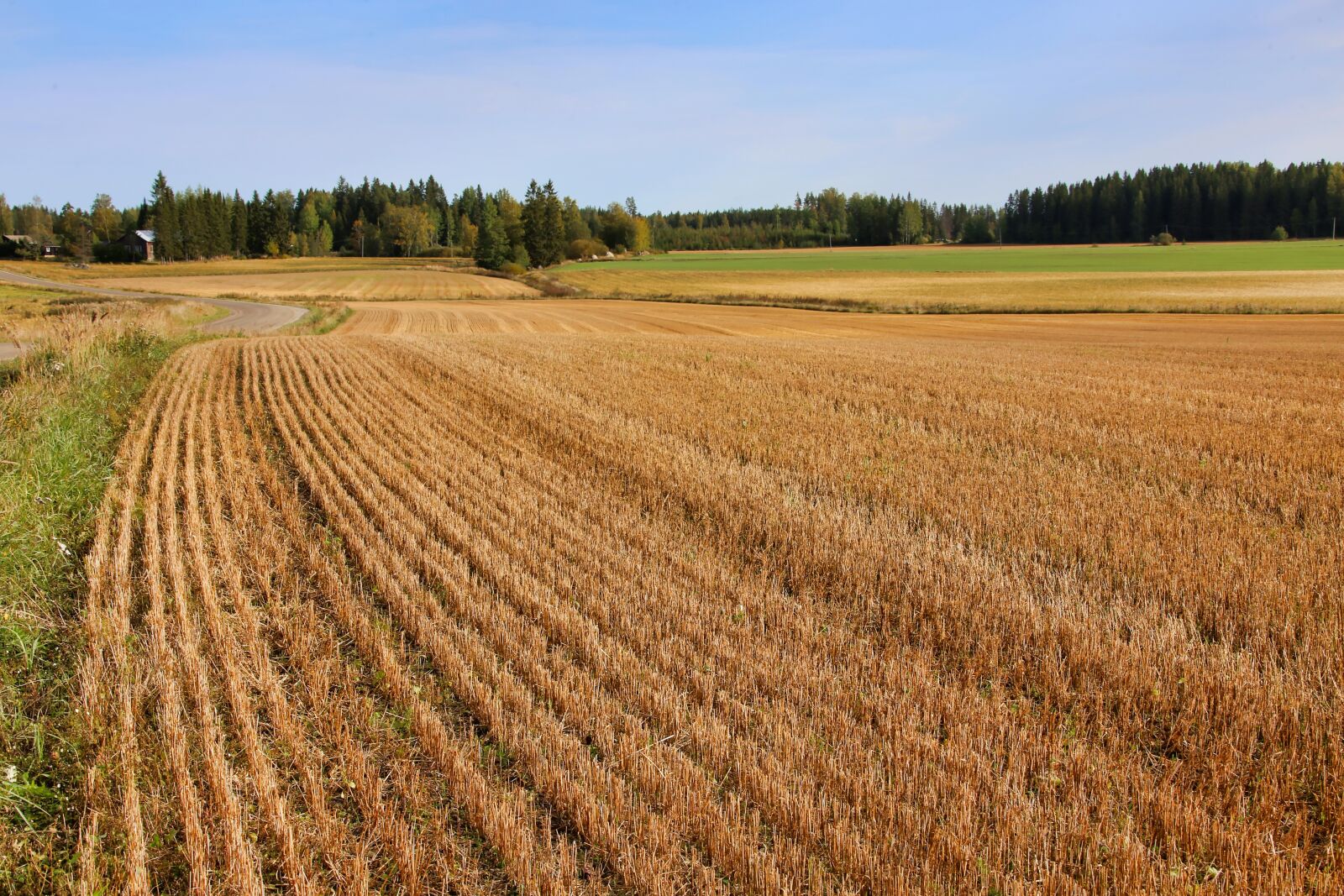 Canon EOS 6D + Canon EF 28-300mm F3.5-5.6L IS USM sample photo. Field, cornfield, harvest photography