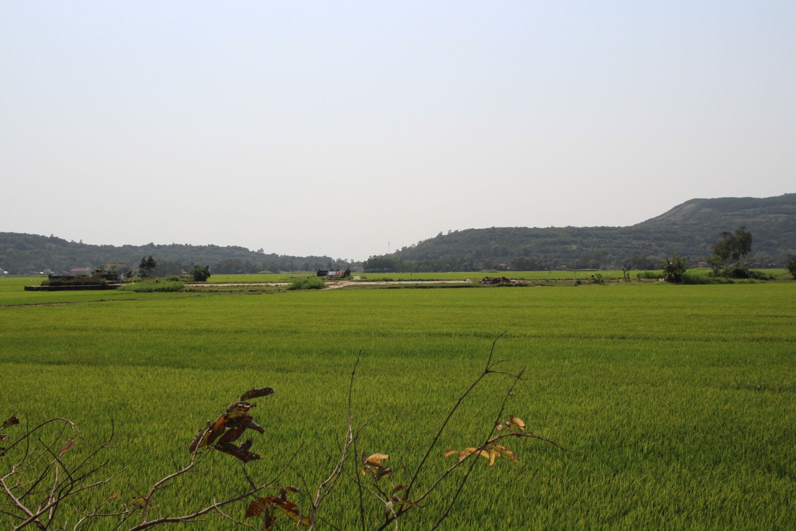 Tamron SP AF 17-50mm F2.8 XR Di II LD Aspherical (IF) sample photo. Vietnam, asia, field photography