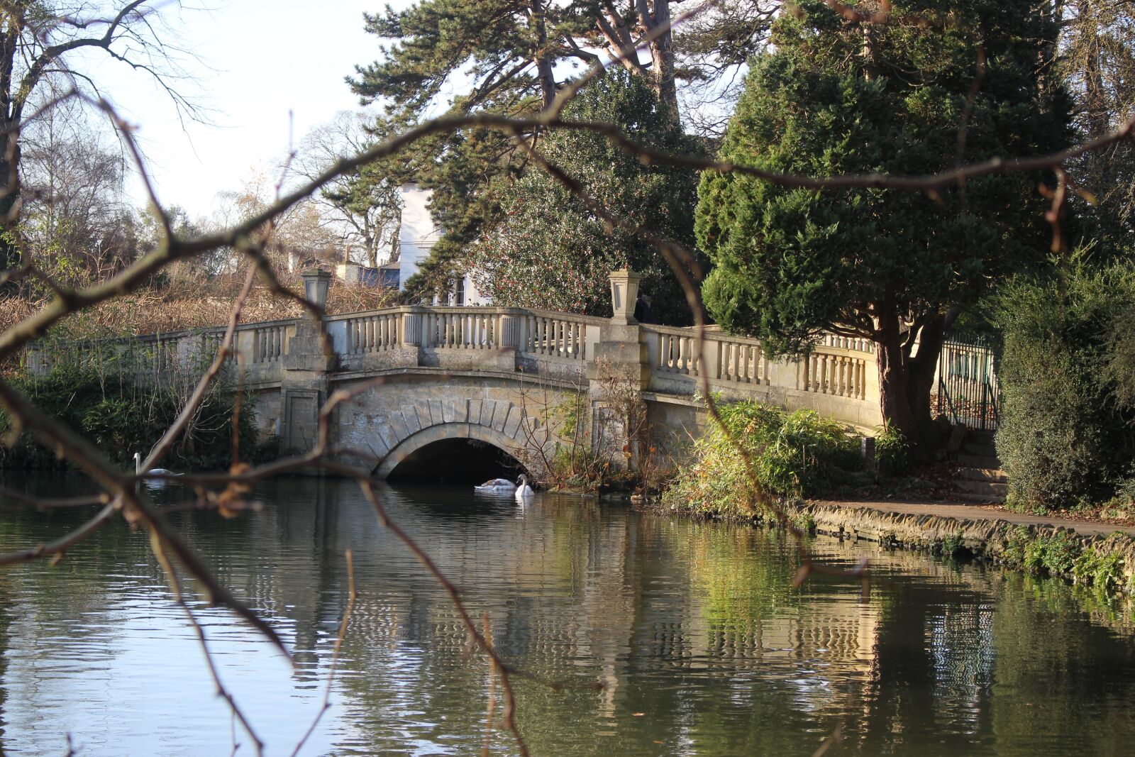 Canon EOS 700D (EOS Rebel T5i / EOS Kiss X7i) sample photo. Water, tree, reflection photography