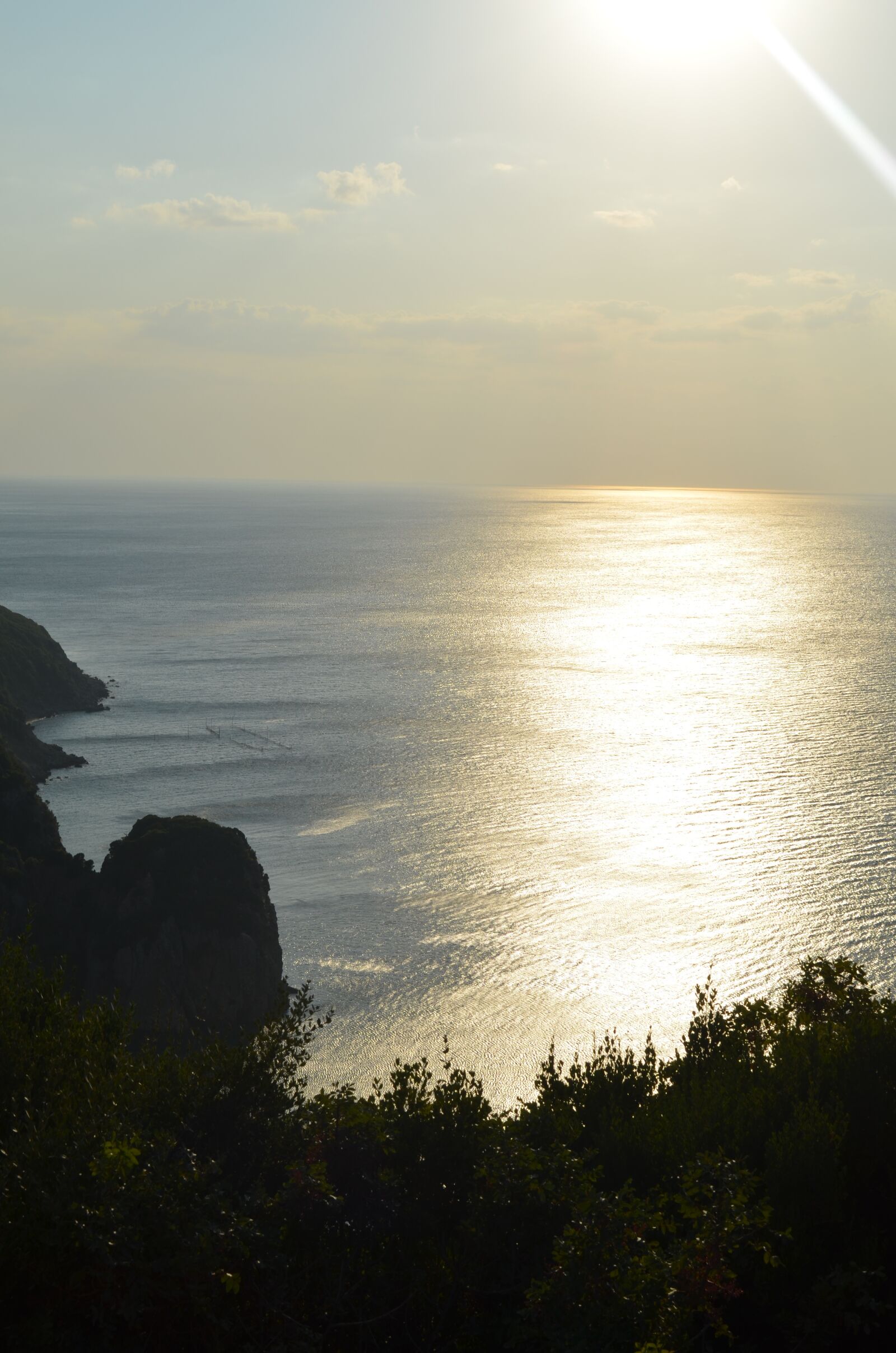 Nikon D5100 sample photo. Solar, marine, forest photography