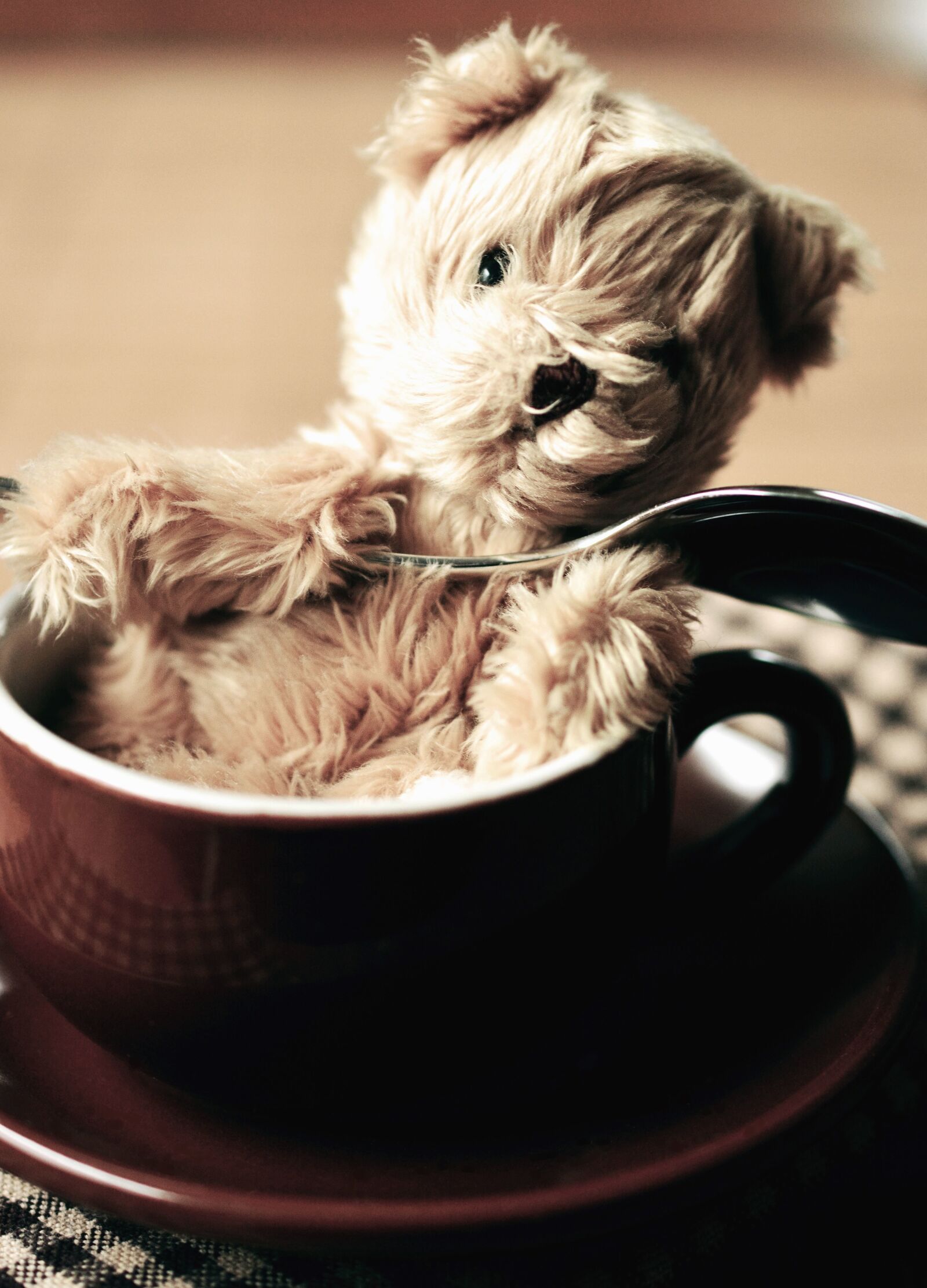 Nikon D5200 sample photo. Cup, teddy bear, toy photography