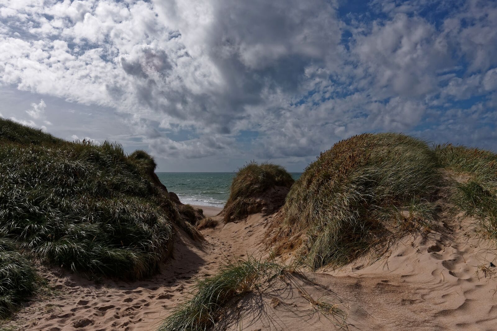 Canon EOS 40D sample photo. Denmark, landscape, summer photography