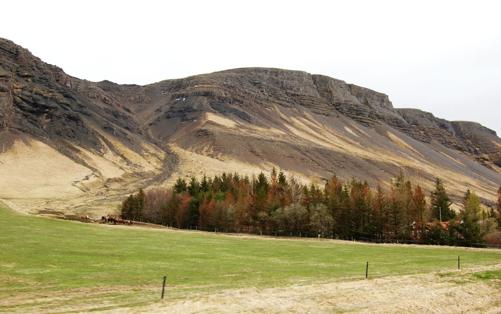 Nikon D40 sample photo. Iceland, mountains, mountain landscape photography
