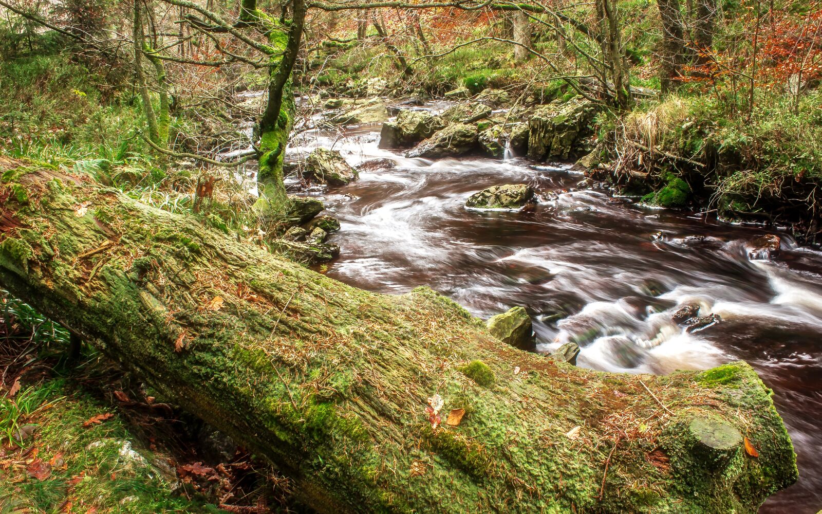 Canon EOS 650D (EOS Rebel T4i / EOS Kiss X6i) sample photo. River, bach, water photography
