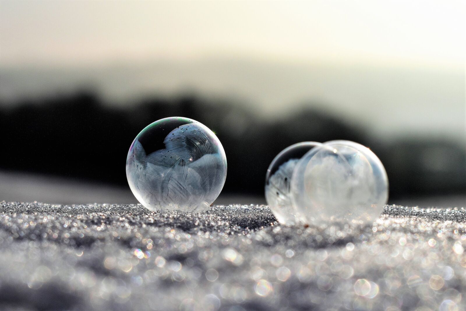 Nikon D5500 sample photo. Soap bubbles, frozen, frost photography