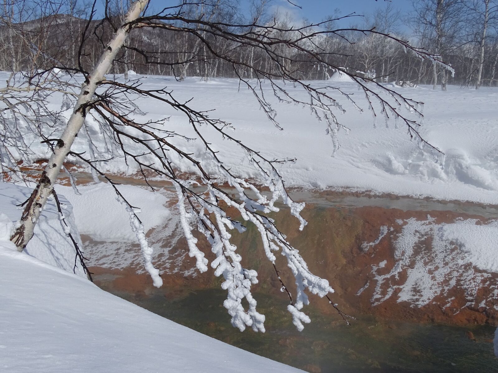 Sony DSC-HX400 sample photo. Creek, winter, frost photography