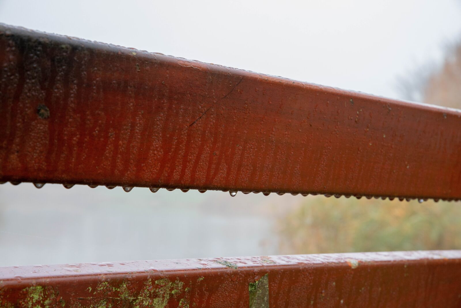 Canon EOS 6D Mark II sample photo. Bank, bench, handrail photography