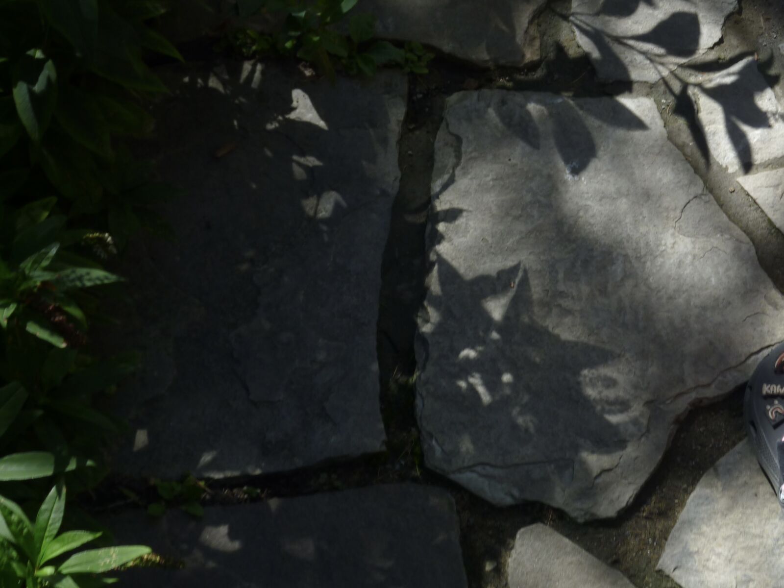 Panasonic DMC-ZR1 sample photo