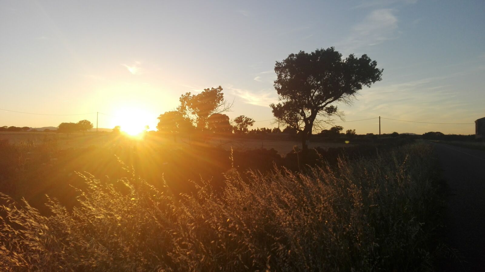 HUAWEI P8 Lite sample photo. Campaign, sun, shadows photography