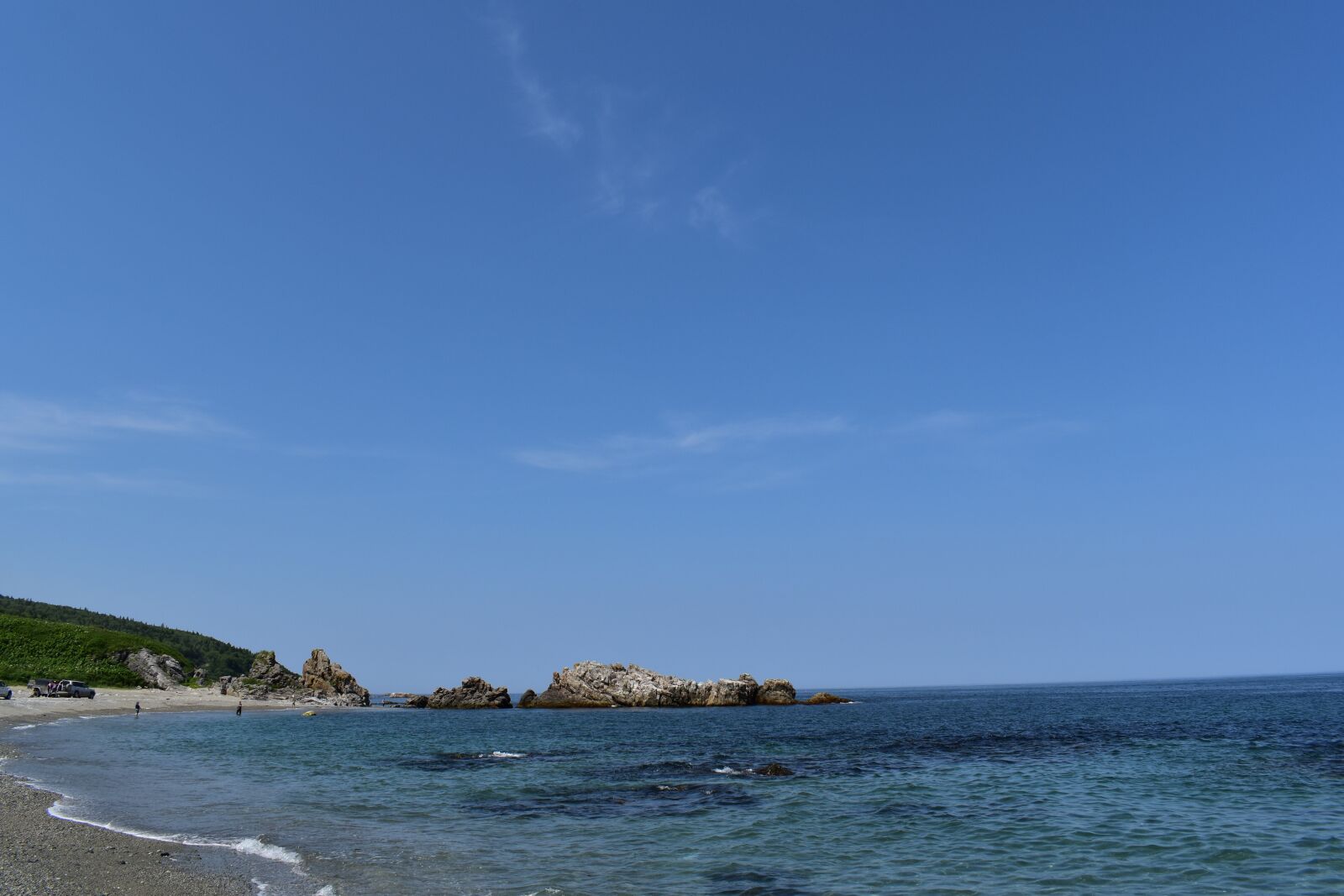 Nikon D5600 sample photo. Sea, ocean, animals photography