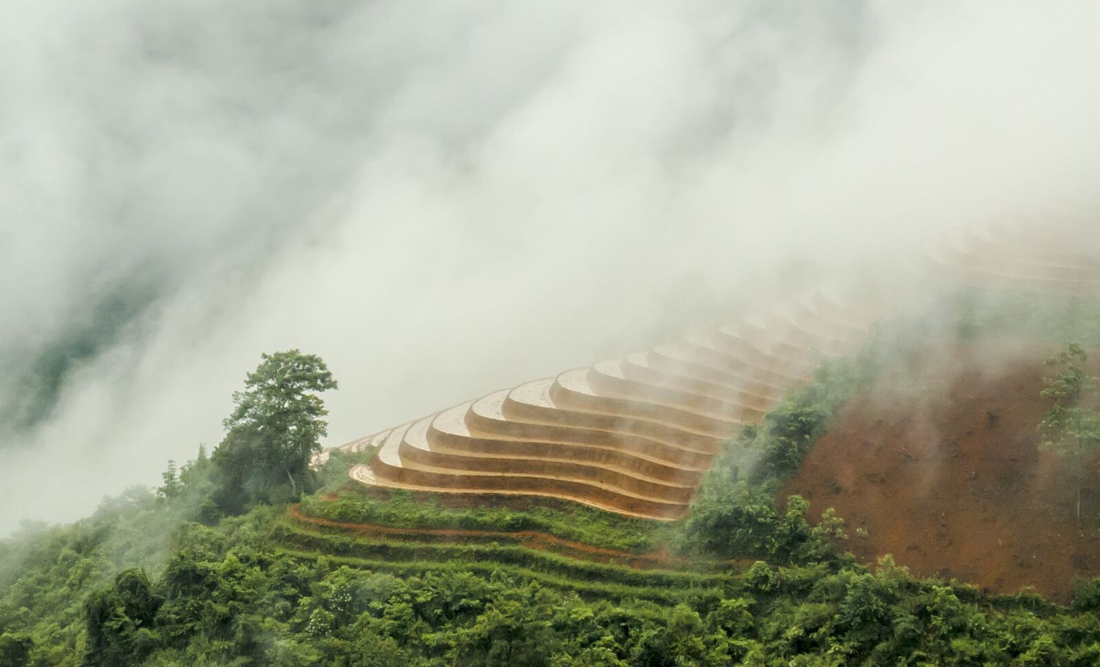 Nikon D70 sample photo. Vietnam, sapa, travel photography