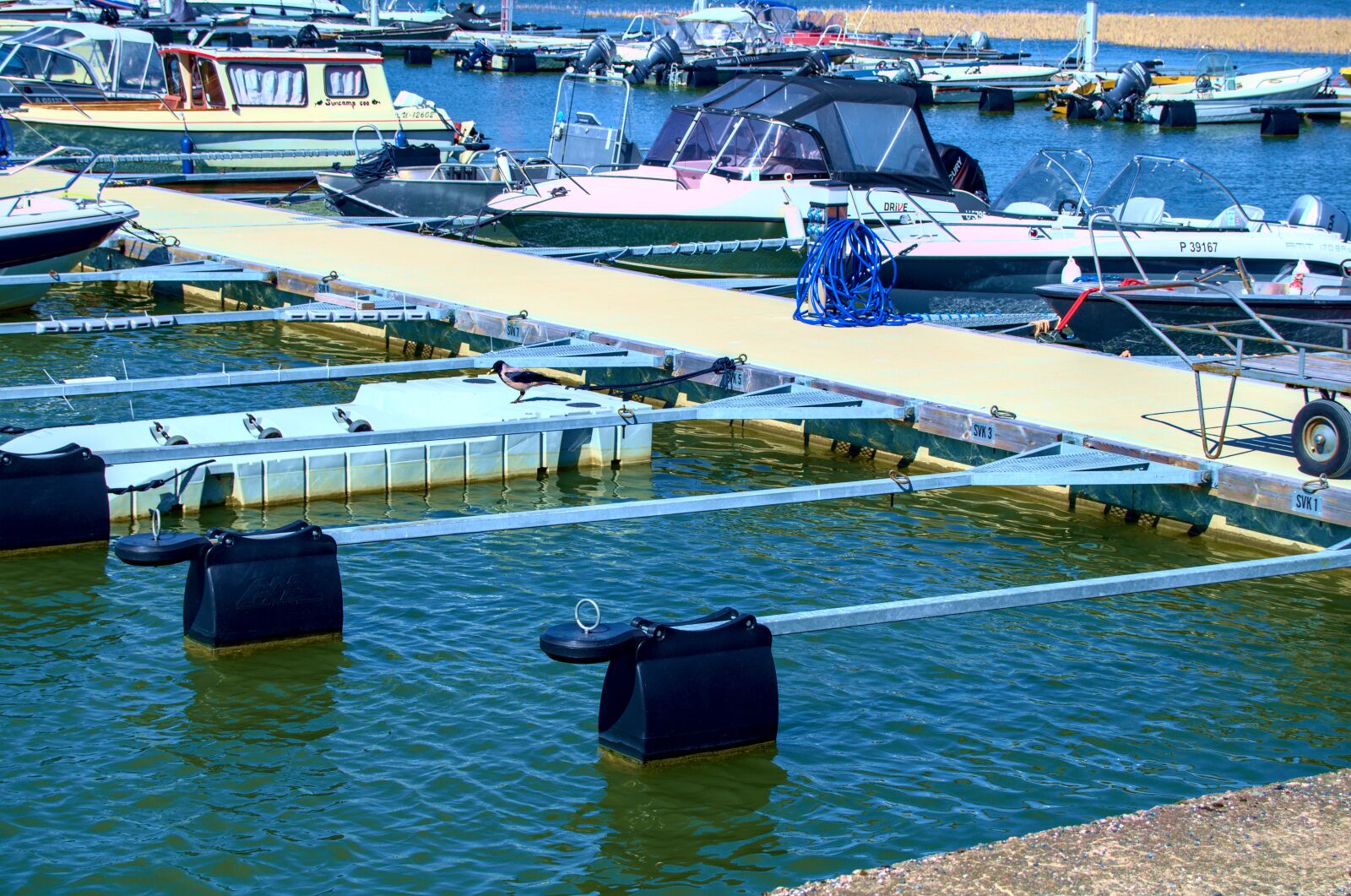 Nikon D5100 sample photo. Dock, water, pier photography
