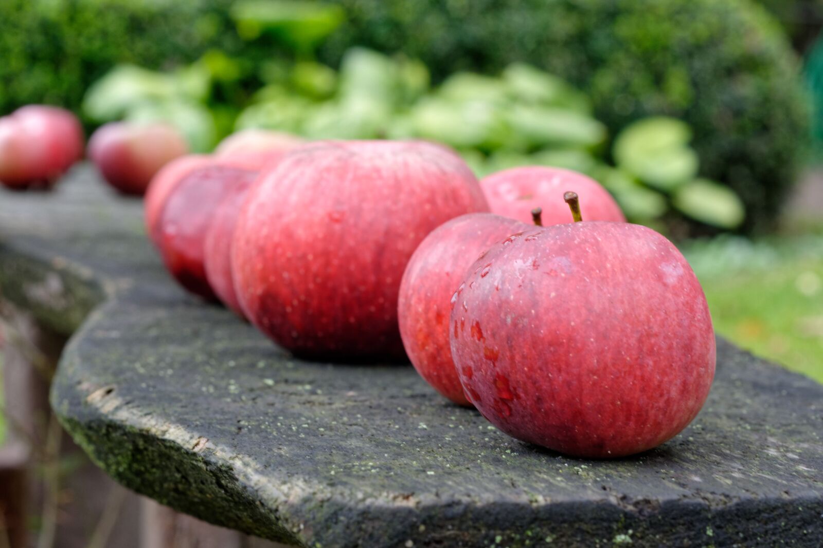 Nikon D5200 sample photo. Apple, apples, fruit photography
