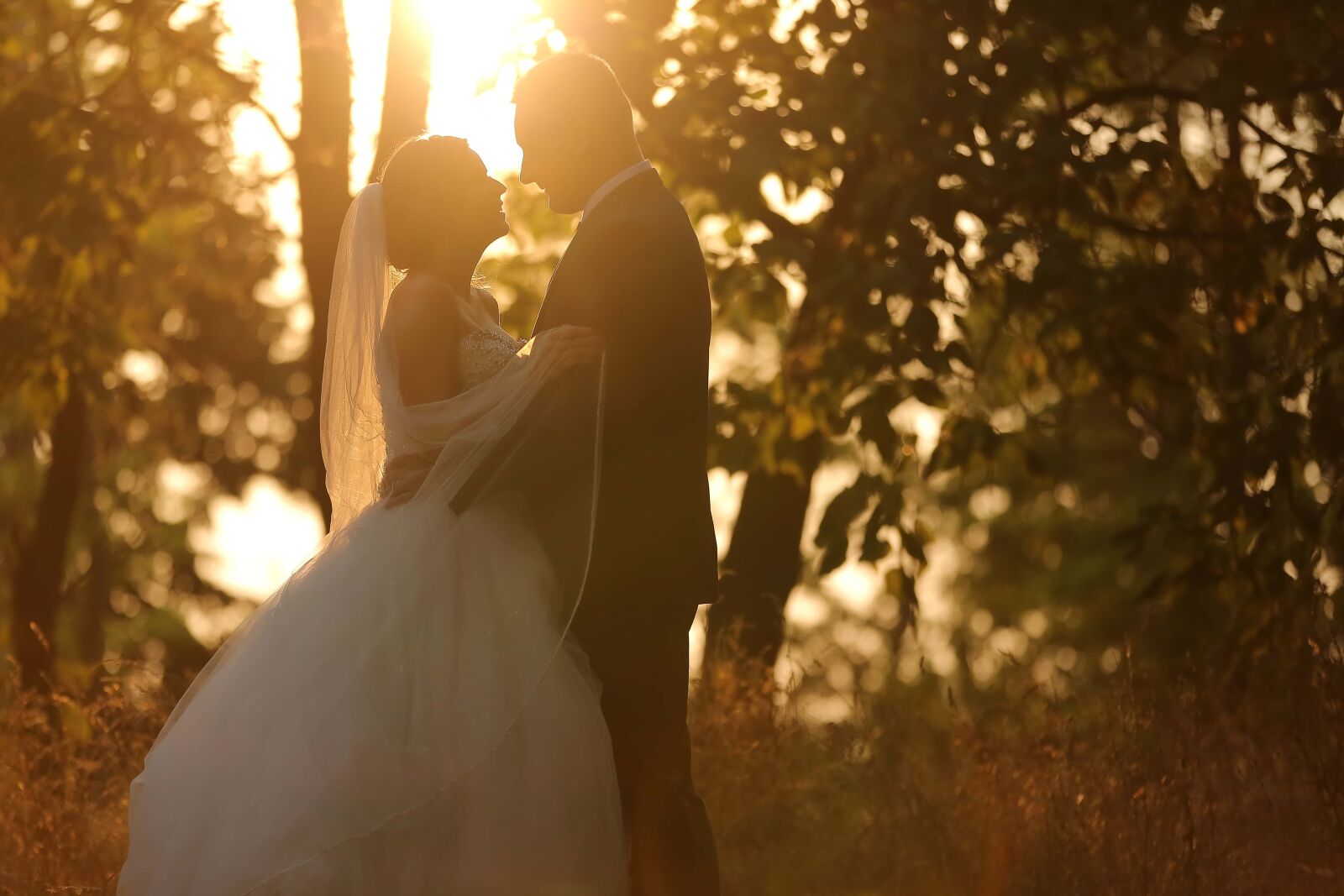 Canon EOS 5D Mark III sample photo. Wife, sunshine, groom, autumn photography