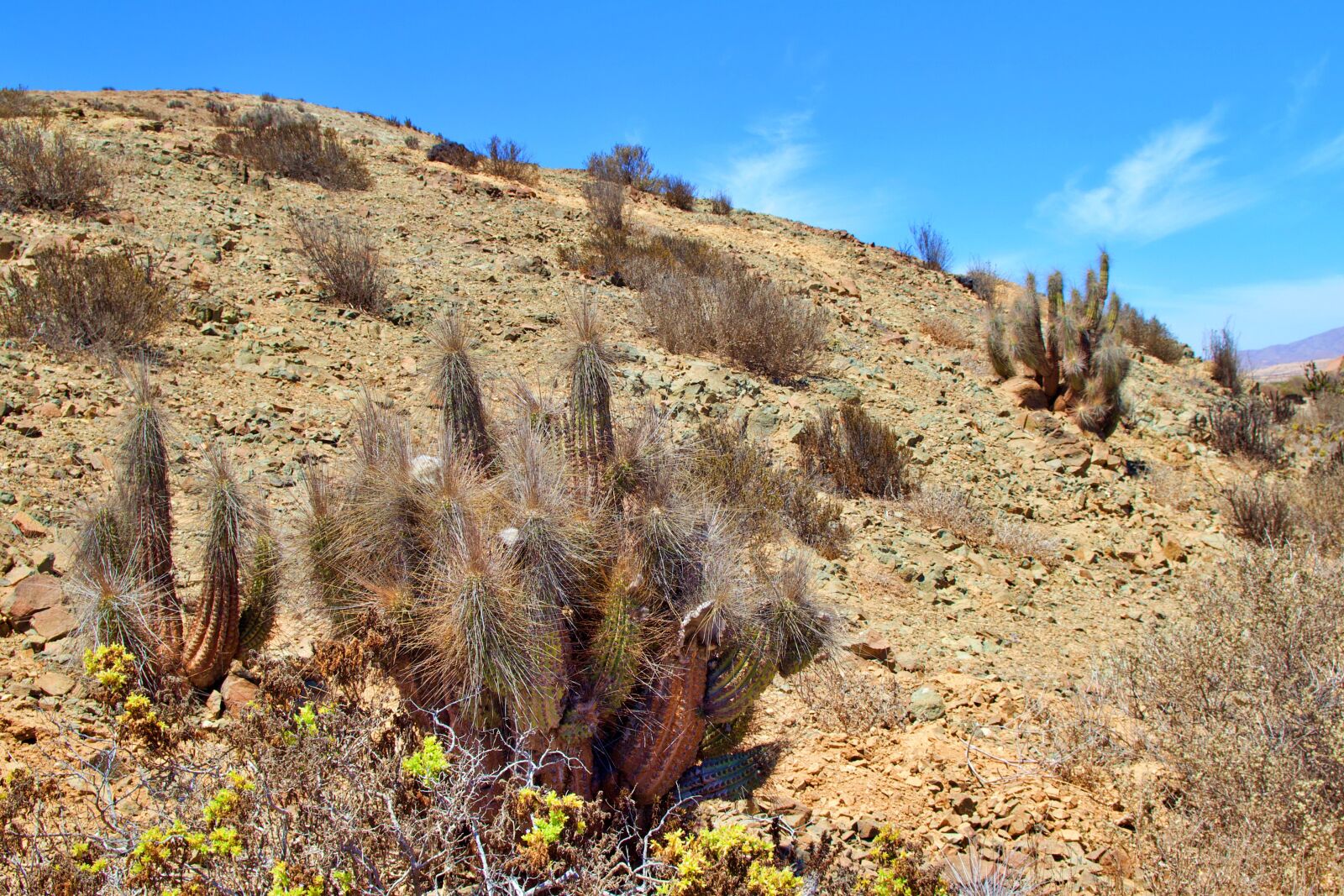 Canon EOS 600D (Rebel EOS T3i / EOS Kiss X5) sample photo. Chile, nature, national park photography