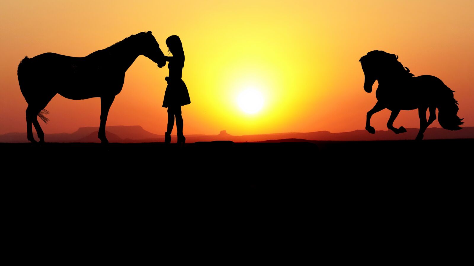 Panasonic Lumix DMC-FZ200 sample photo. Sunset, horses, girl photography