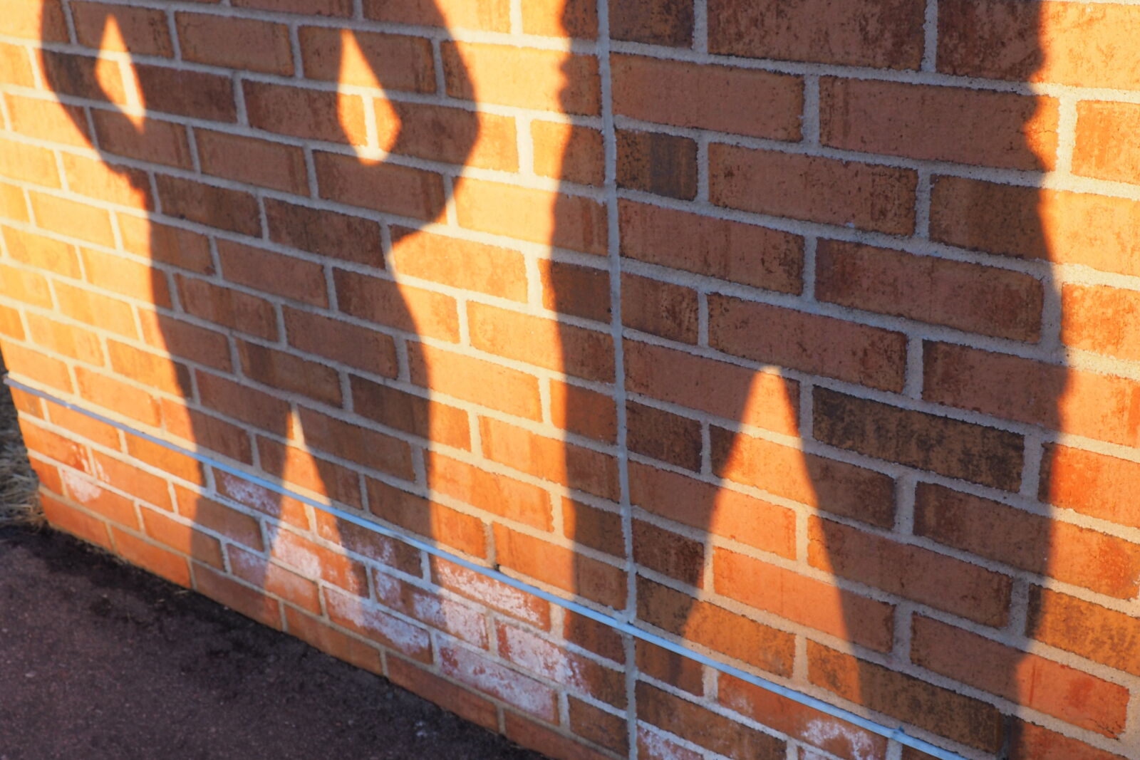 Olympus OM-D E-M10 sample photo. Brick, shadow, wall photography