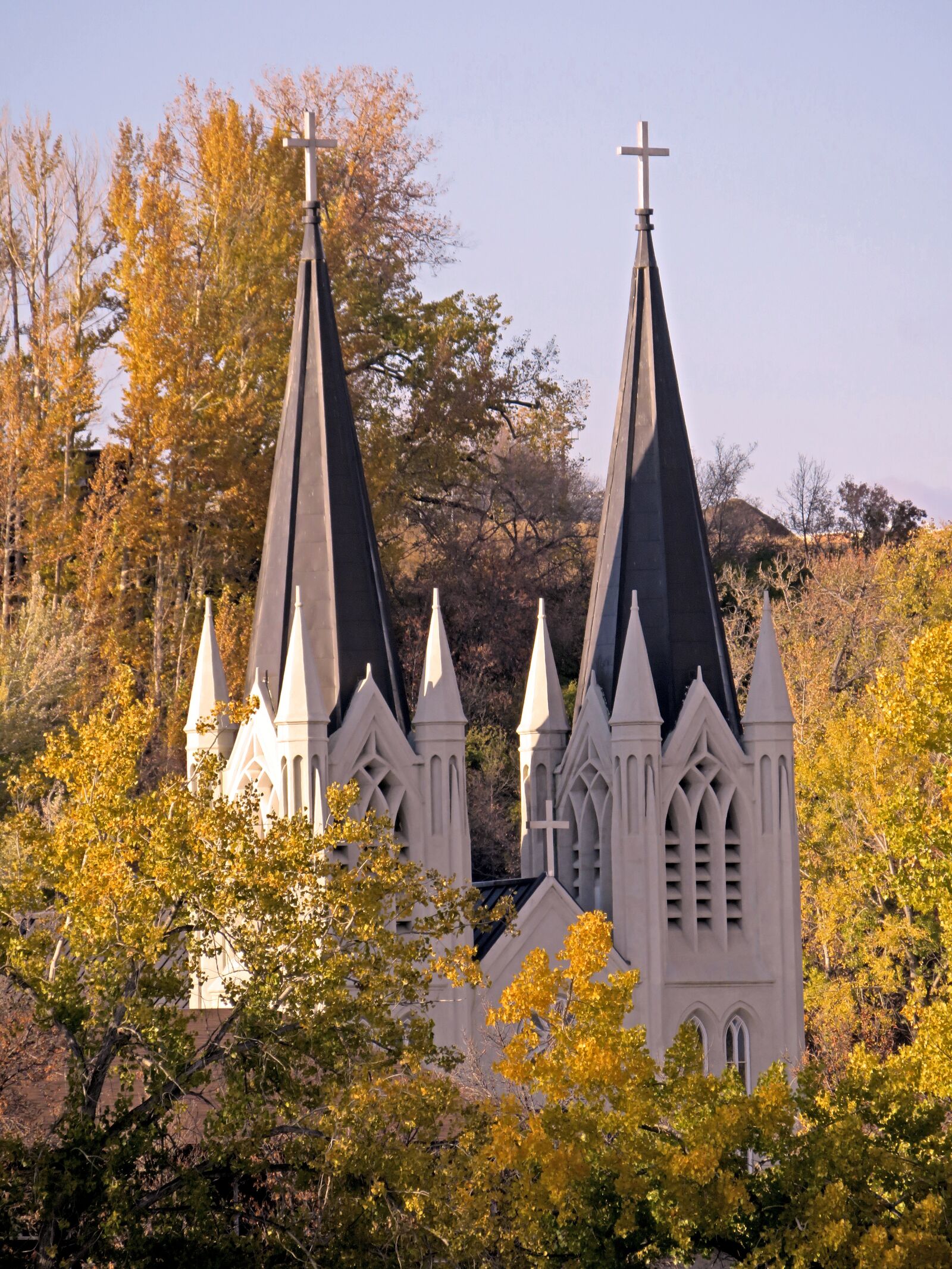 Canon PowerShot SX720 HS sample photo. Church, steeple, trees photography