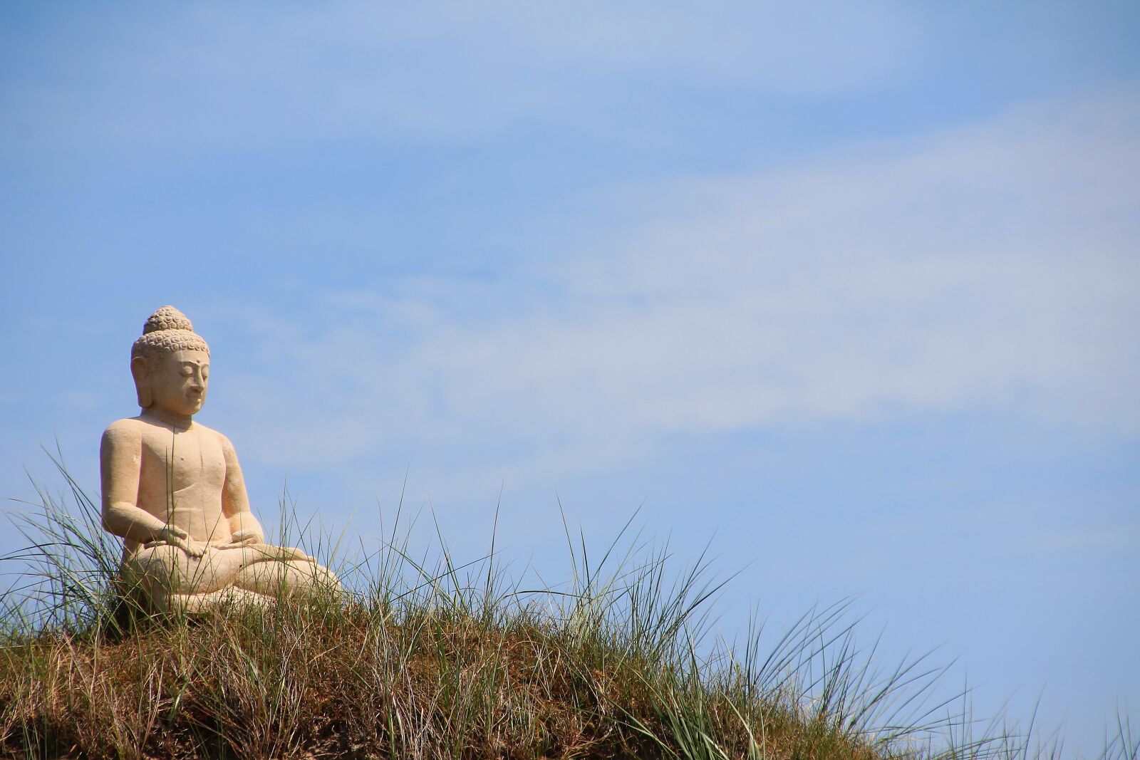 Canon EOS 1100D (EOS Rebel T3 / EOS Kiss X50) sample photo. Buddha, statue, figure photography