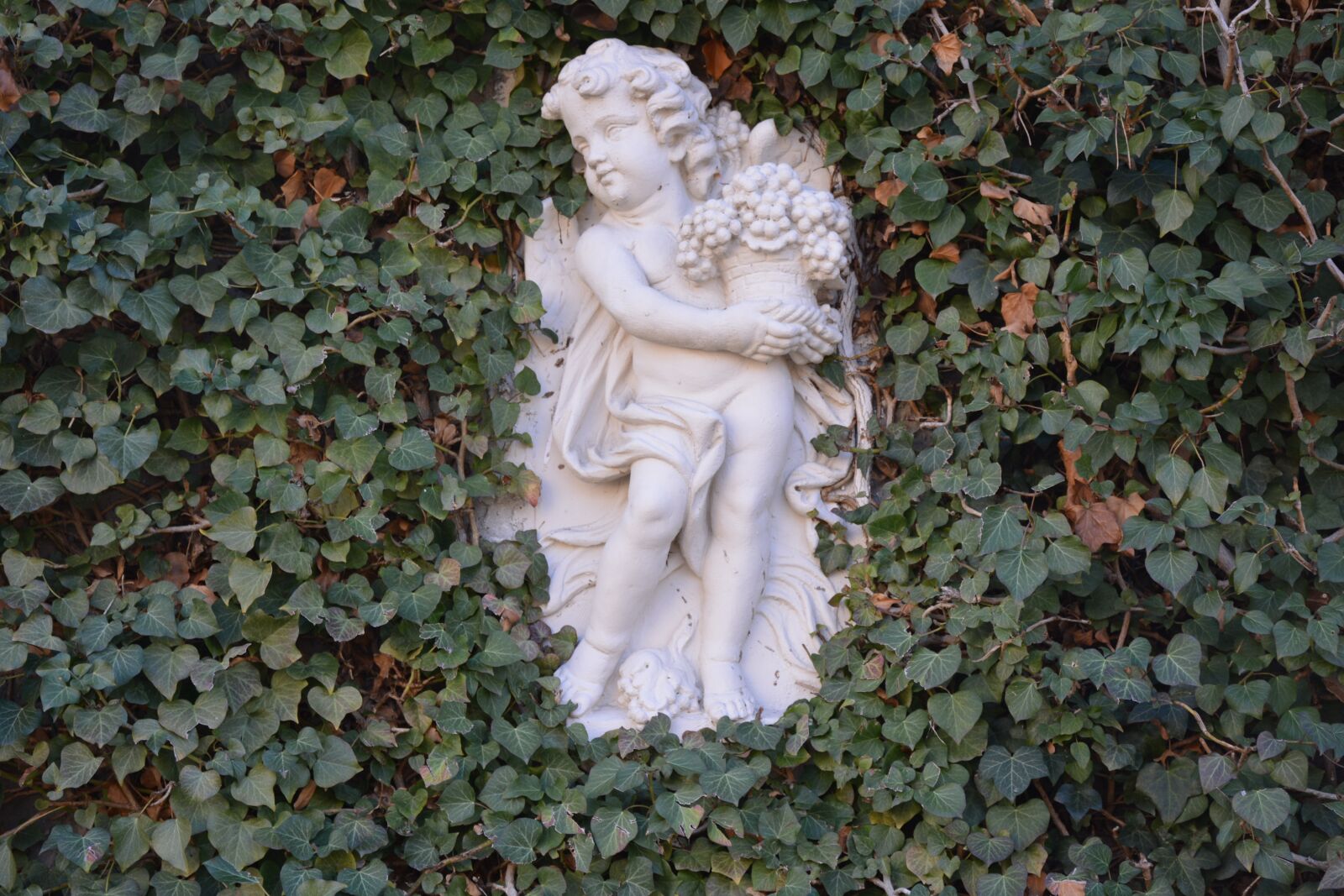 Nikon D5200 sample photo. Angel, ivy, potsdam photography