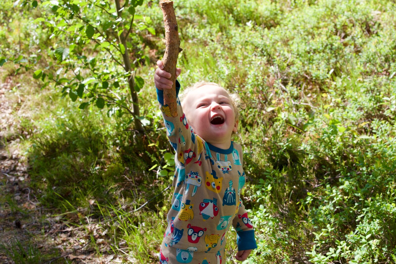 Canon EOS 5D Mark III sample photo. Stick, child, game photography
