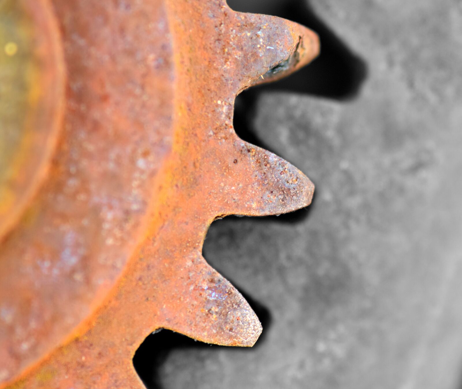 Nikon D3300 sample photo. Gear, background, mechanics photography