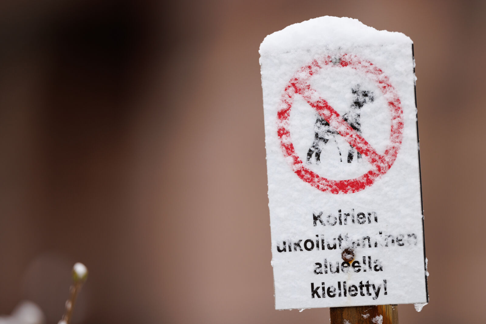 Canon RF 400mm F2.8L IS USM sample photo. Snowy sign photography