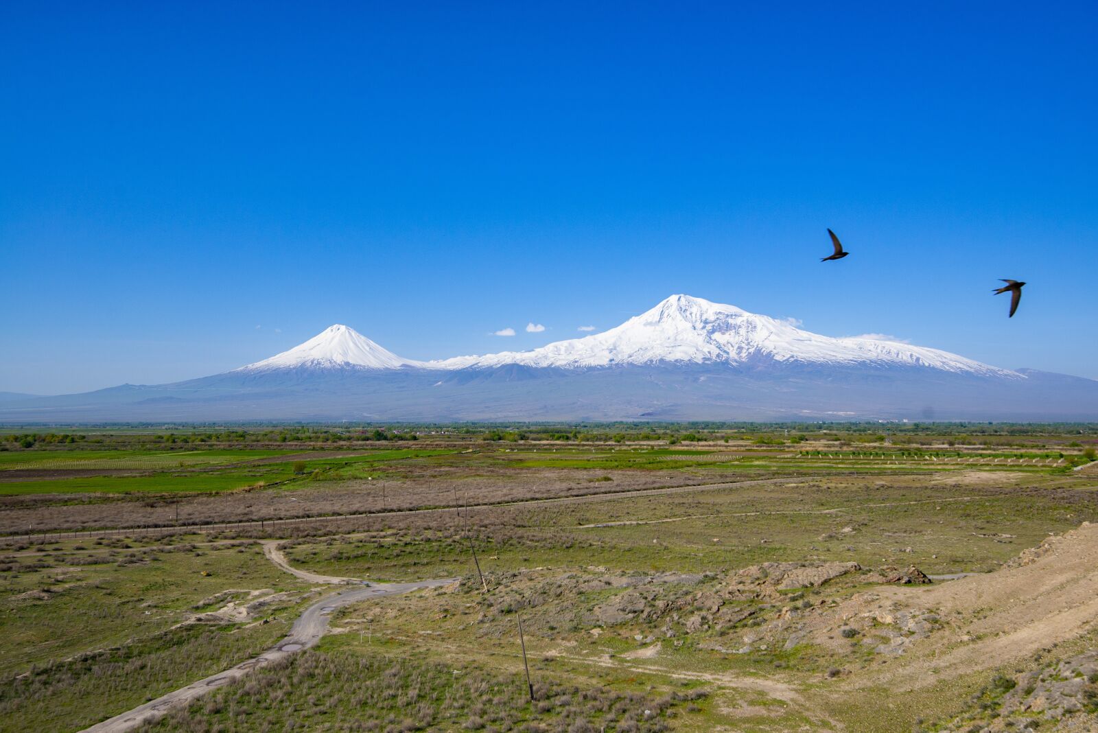 Tamron SP 15-30mm F2.8 Di VC USD sample photo. Ararat, armenia, landscape photography