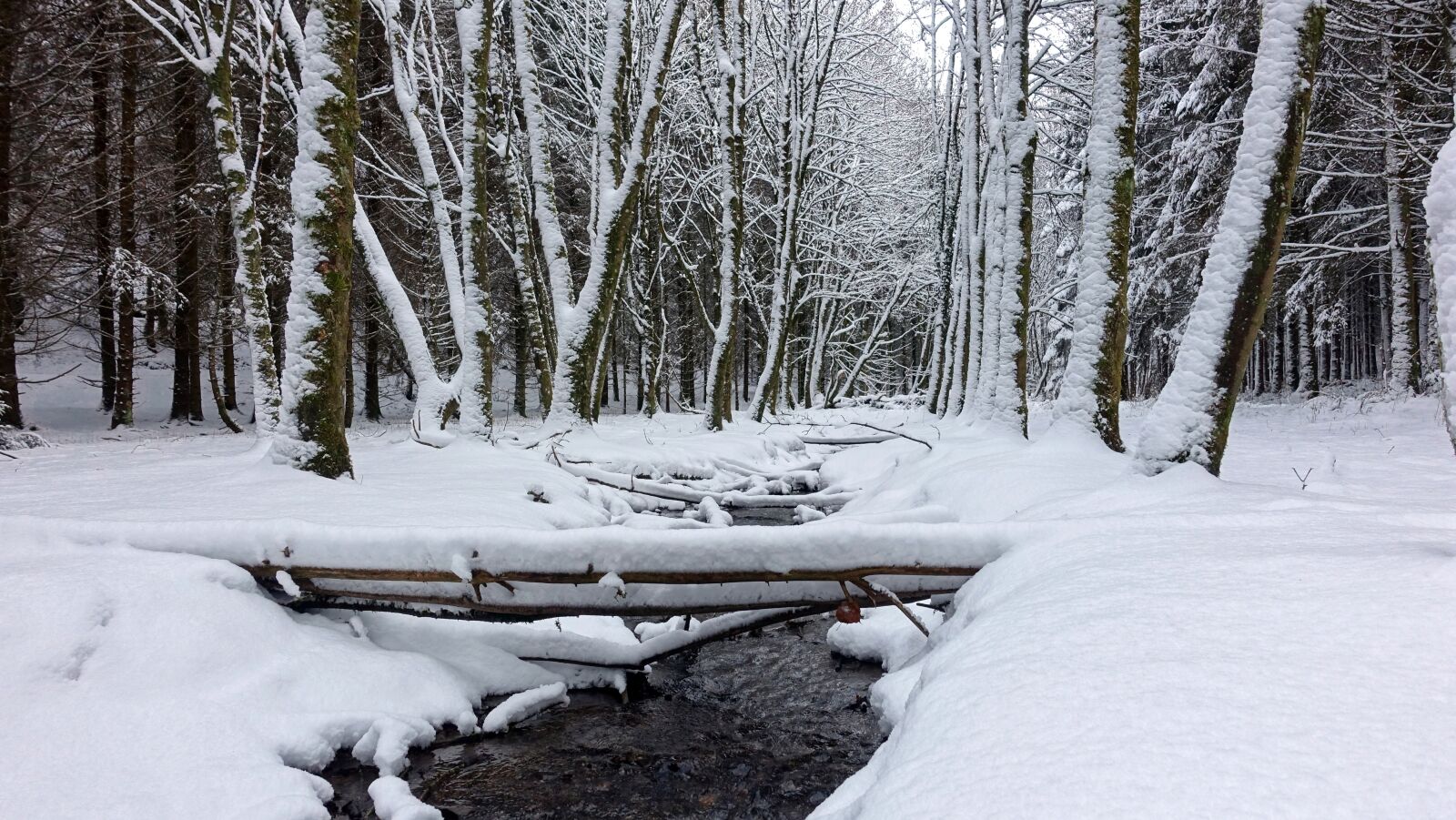 Sony Cyber-shot DSC-RX100 III sample photo. Snow, white, winter landscape photography