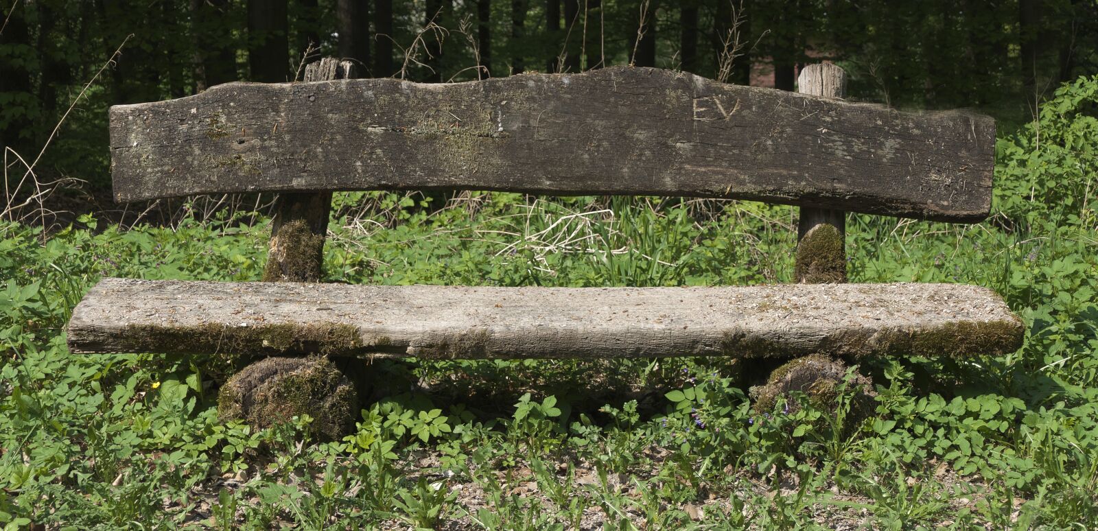 Panasonic Lumix DMC-FZ1000 sample photo. Wooden bench, old bench photography