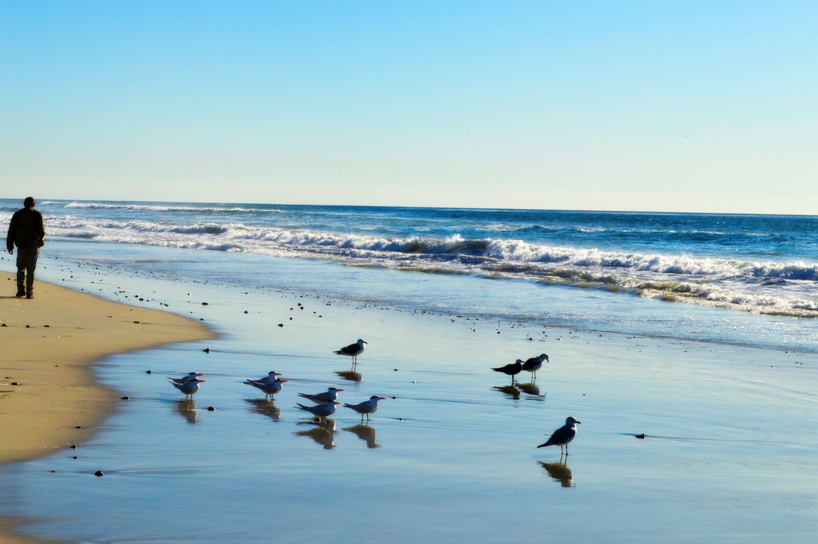 Nikon D3200 sample photo. Beach, ocean, waves photography