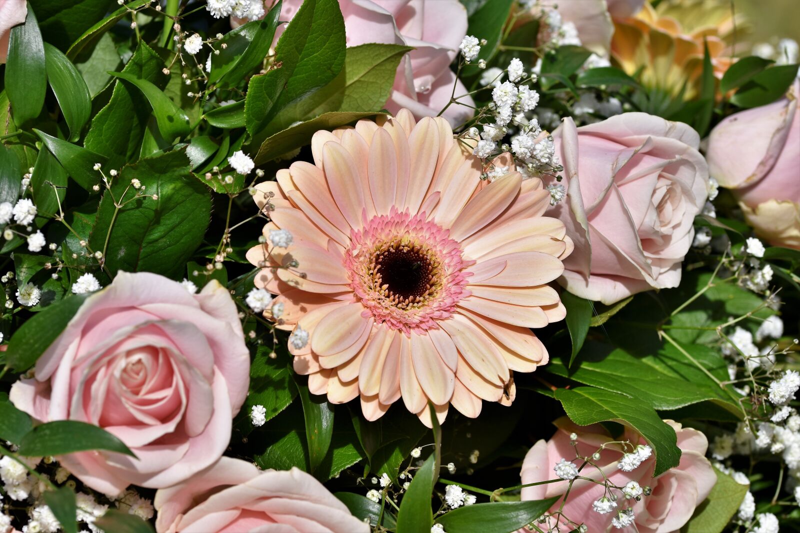 Nikon D7200 sample photo. Gerbera, arrangement, floral arrangement photography