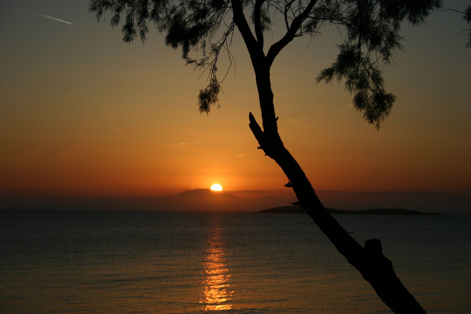 Canon EOS 300D (EOS Digital Rebel / EOS Kiss Digital) sample photo. Sunset, tree, sea photography
